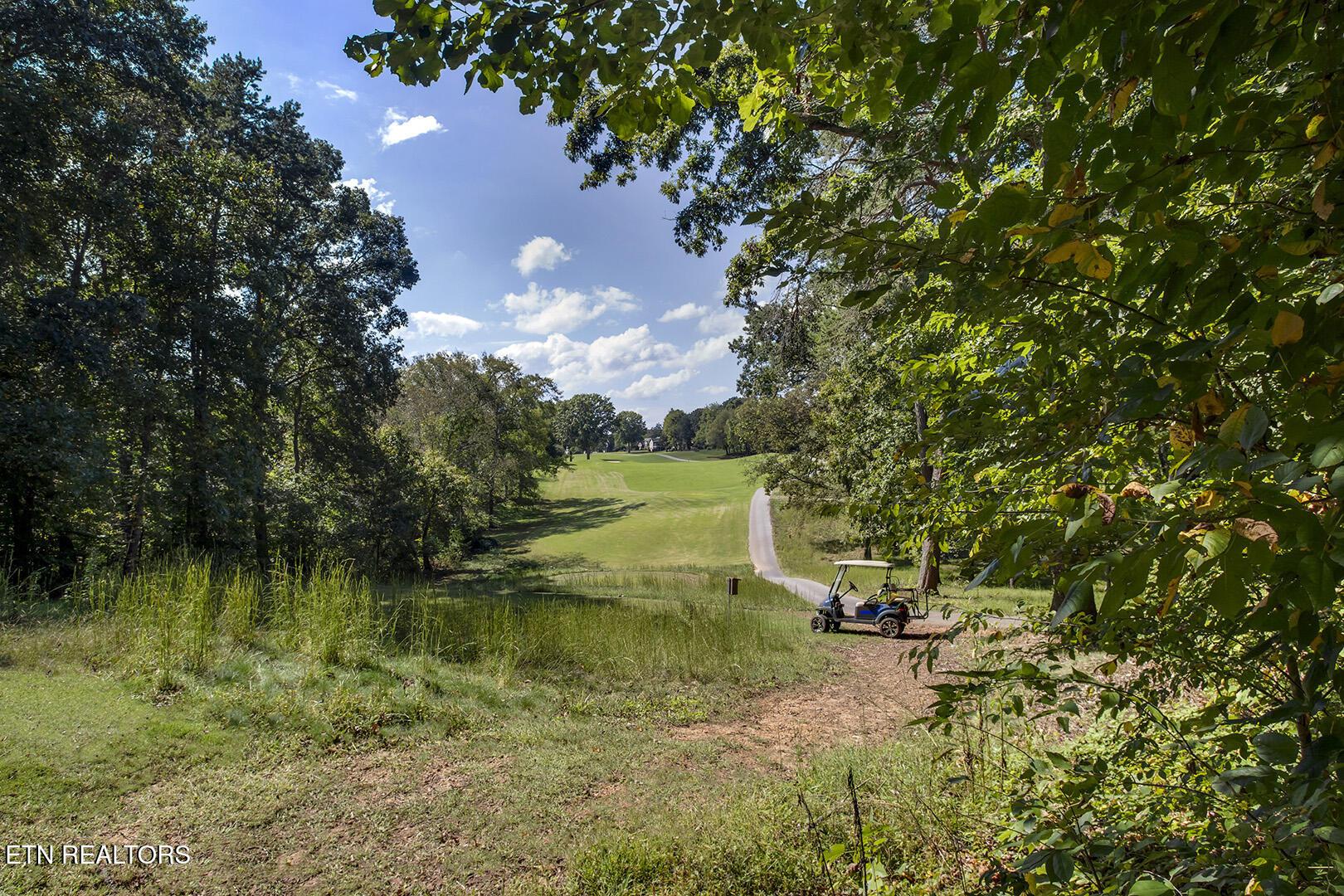 Fort Loudoun and Tellico Lake Real Estate - Image# 58