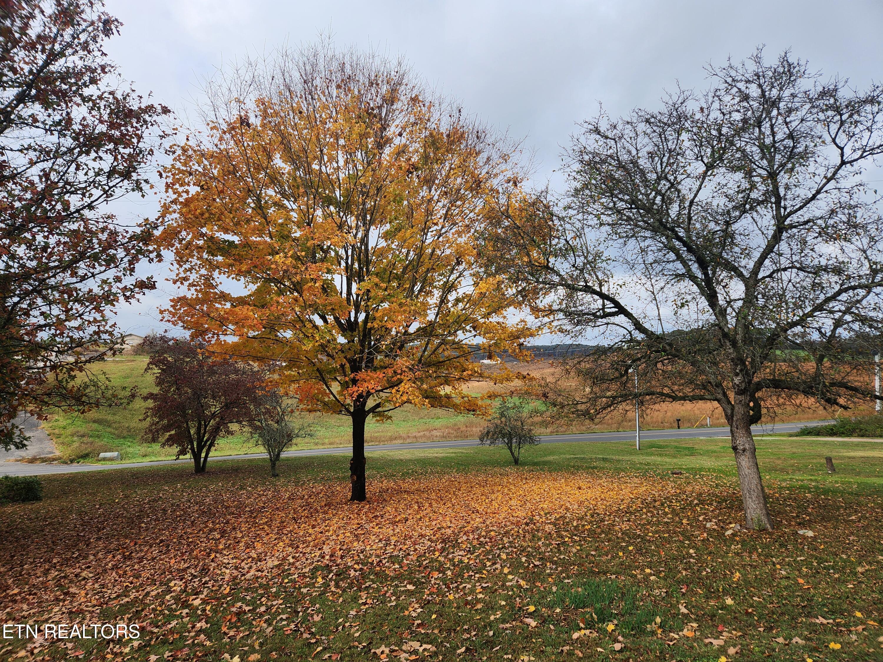 7000 Davis Ferry Rd, Loudon, TN - Fort Loudoun and Tellico Lake Real Estate - Image# 25