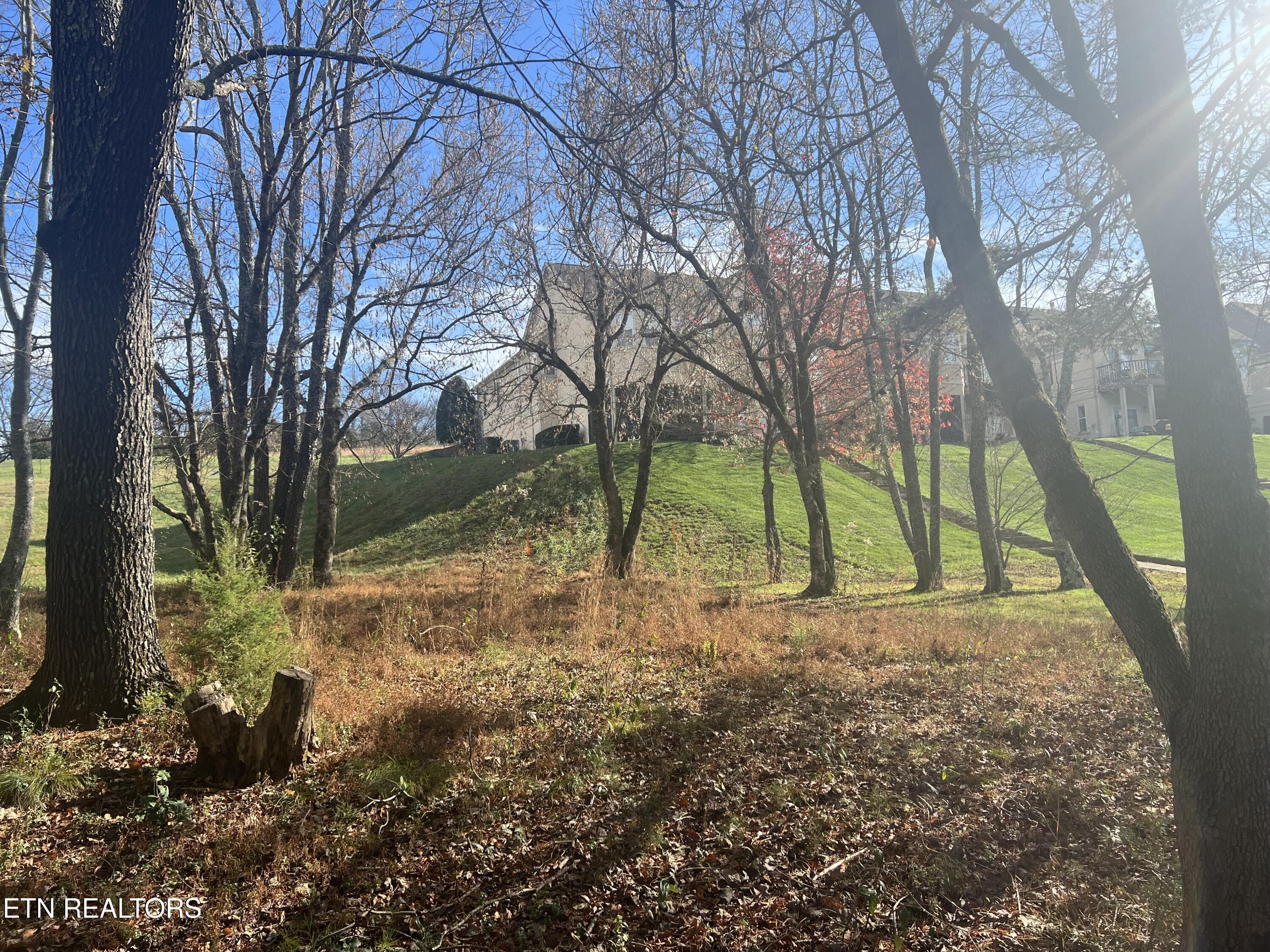 Fort Loudoun and Tellico Lake Real Estate - Image# 3
