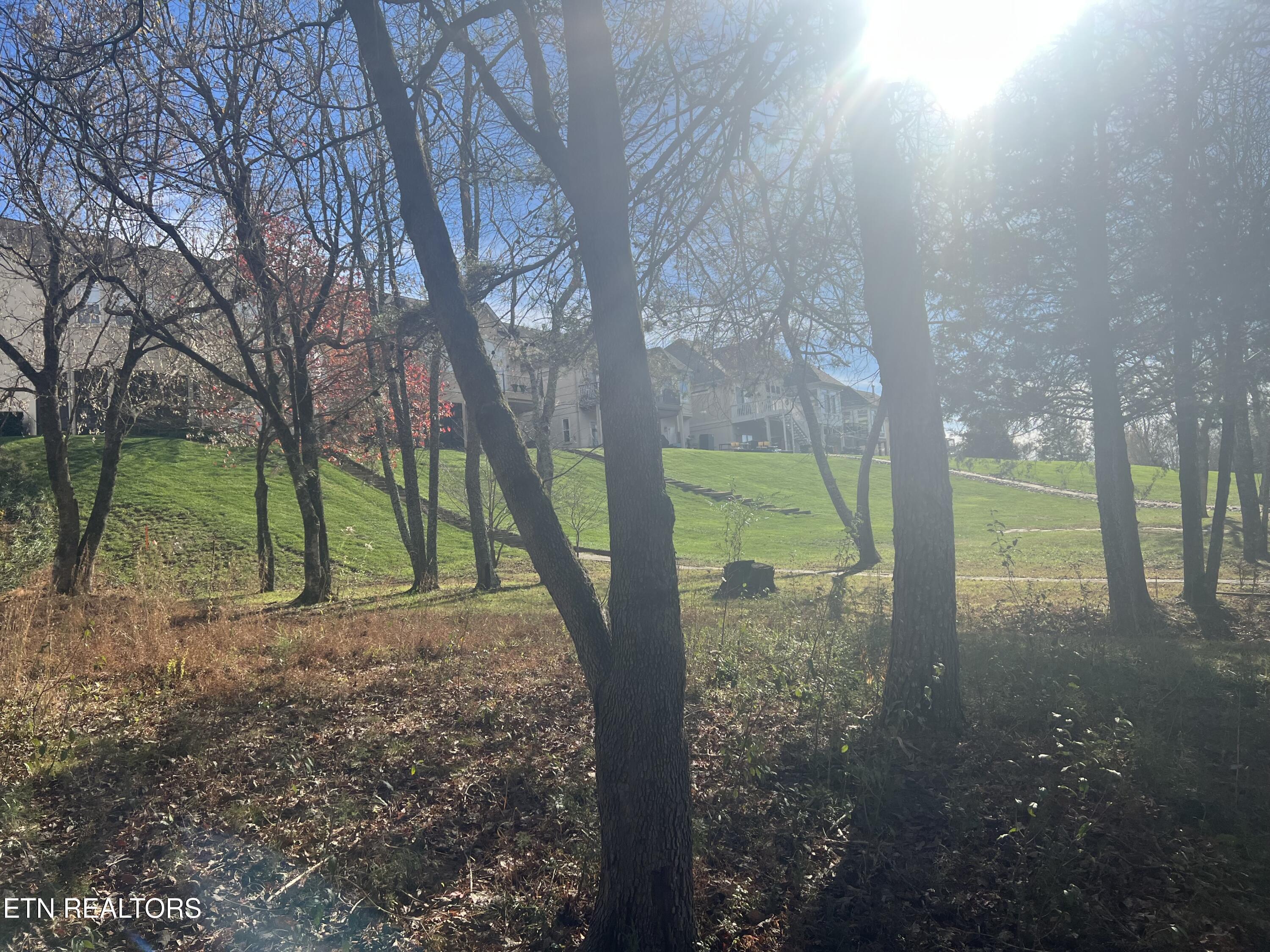 Fort Loudoun and Tellico Lake Real Estate - Image# 4