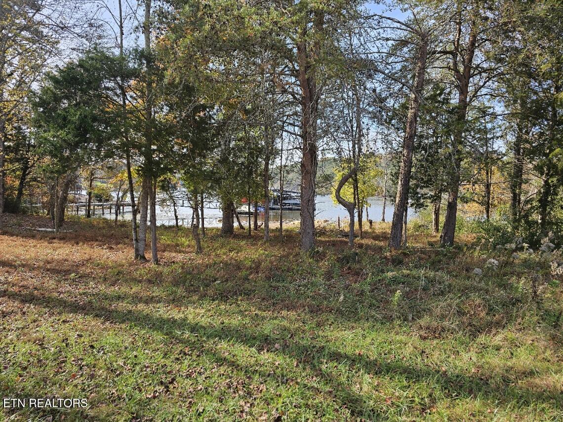 Fort Loudoun and Tellico Lake Real Estate - Image# 10