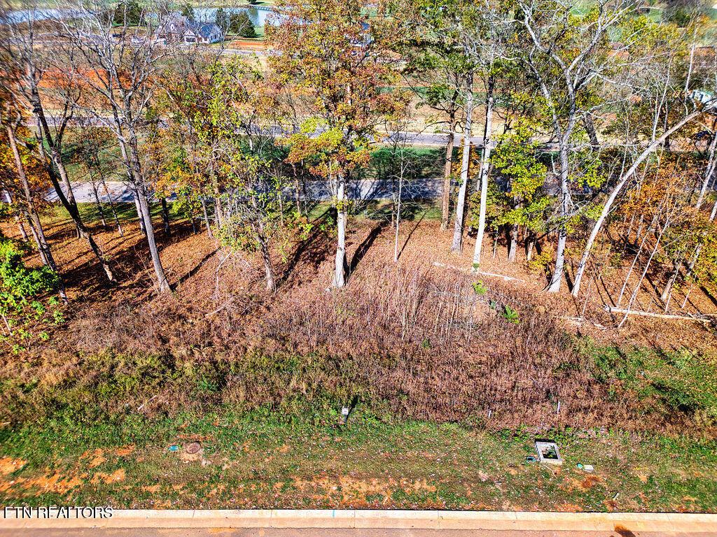 Fort Loudoun and Tellico Lake Real Estate - Image# 11
