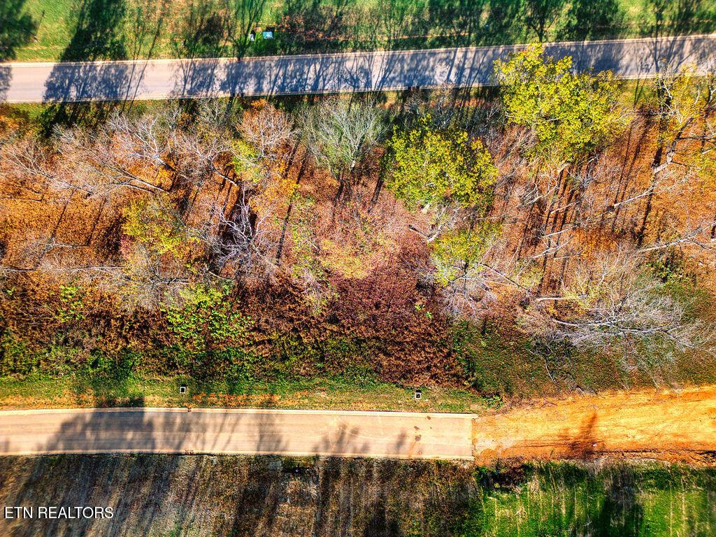 Fort Loudoun and Tellico Lake Real Estate - Image# 8