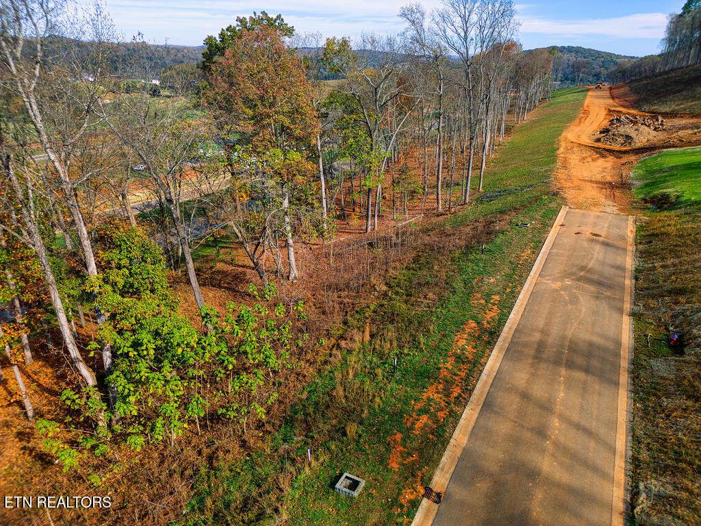Fort Loudoun and Tellico Lake Real Estate - Image# 9