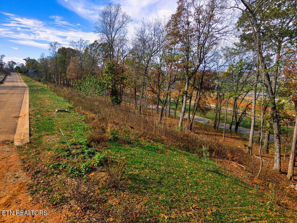 Fort Loudoun and Tellico Lake Real Estate - Image# 10