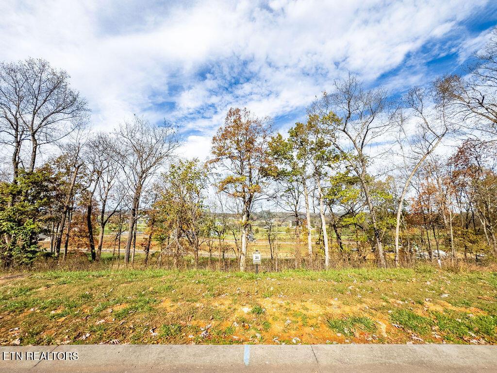 Fort Loudoun and Tellico Lake Real Estate - Image# 12