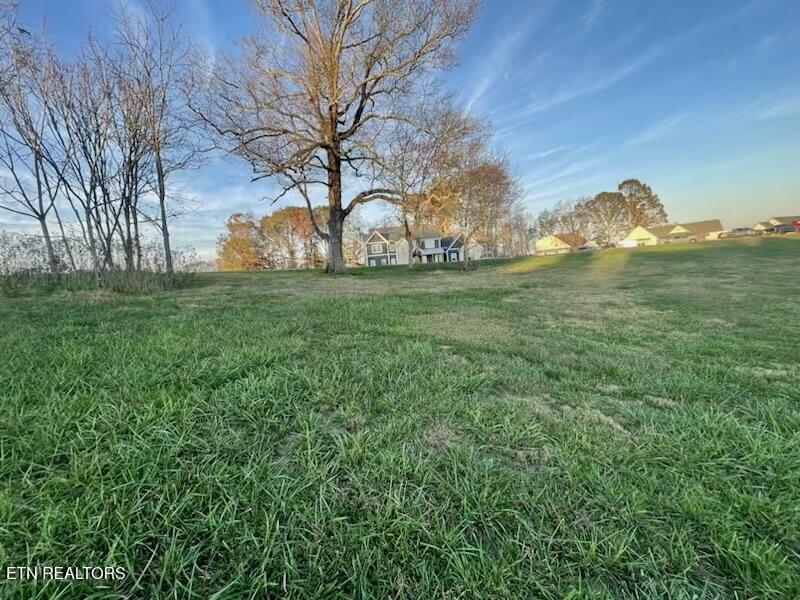 Fort Loudoun and Tellico Lake Real Estate - Image# 9