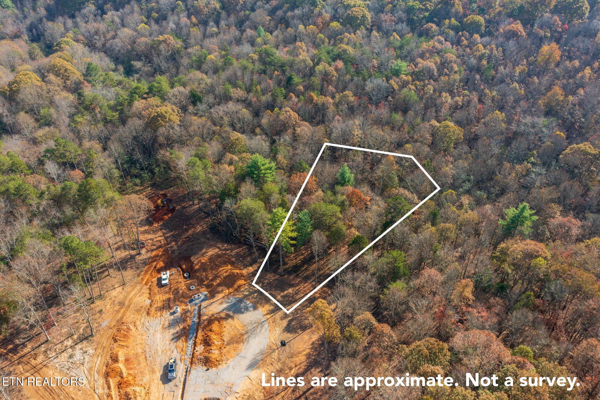 Fort Loudoun and Tellico Lake Real Estate - Image# 1