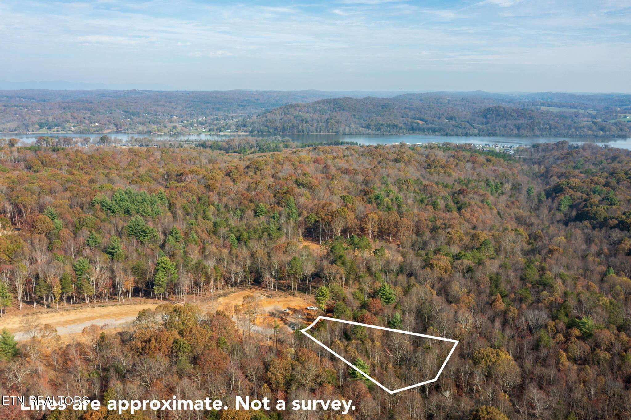 Fort Loudoun and Tellico Lake Real Estate - Image# 3