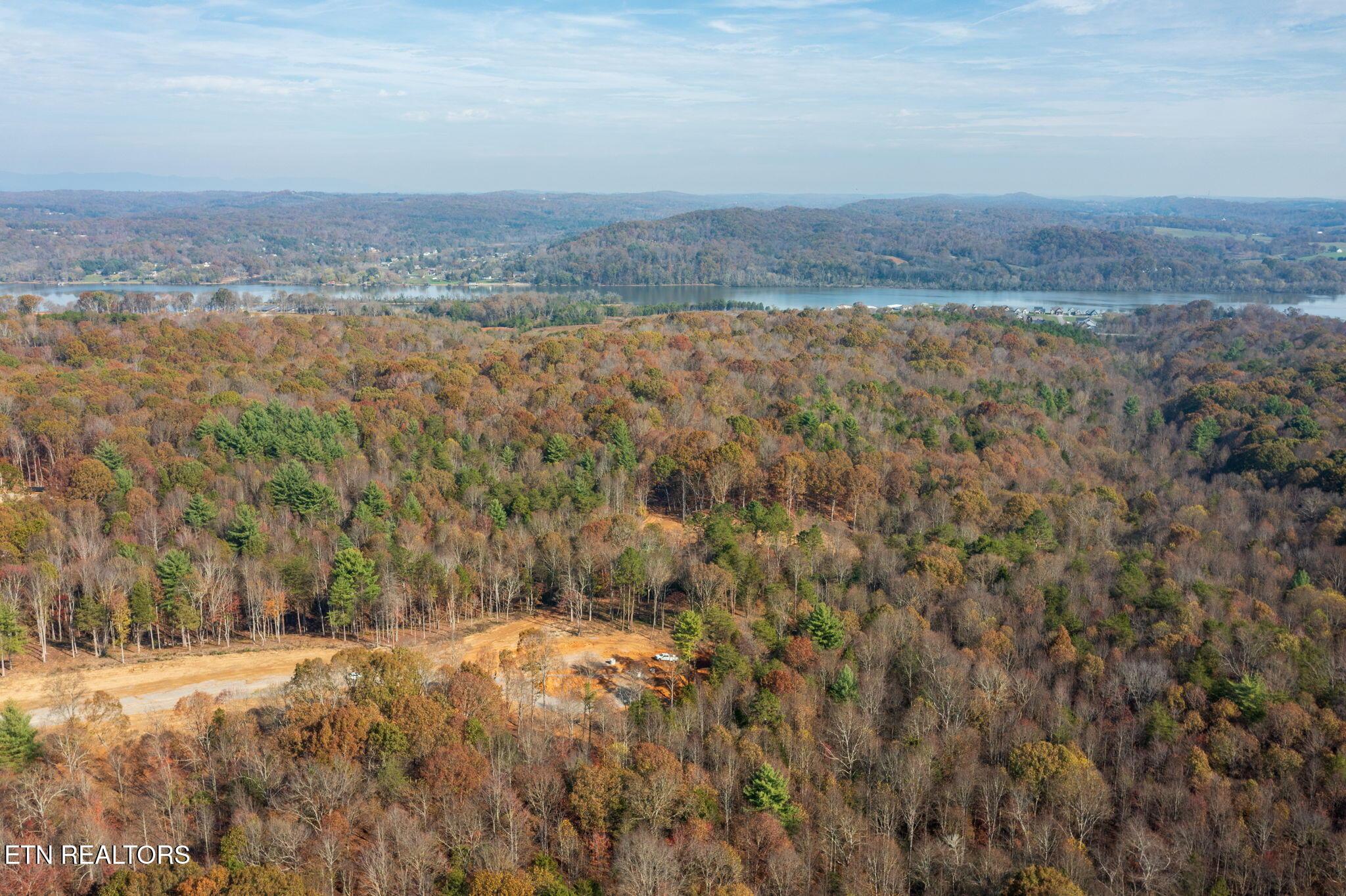 Fort Loudoun and Tellico Lake Real Estate - Image# 23