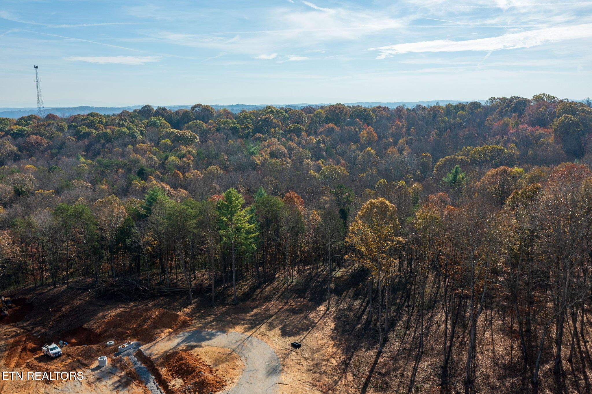 Fort Loudoun and Tellico Lake Real Estate - Image# 16