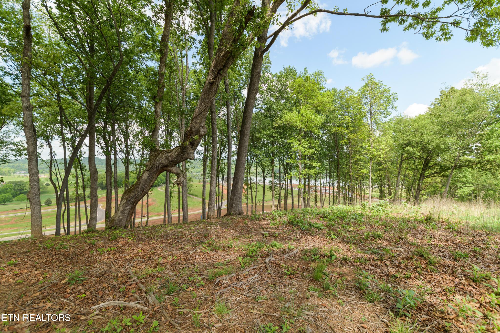 Fort Loudoun and Tellico Lake Real Estate - Image# 18