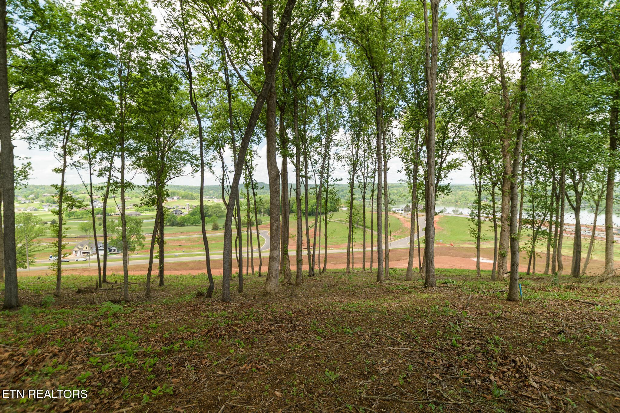 Fort Loudoun and Tellico Lake Real Estate - Image# 16