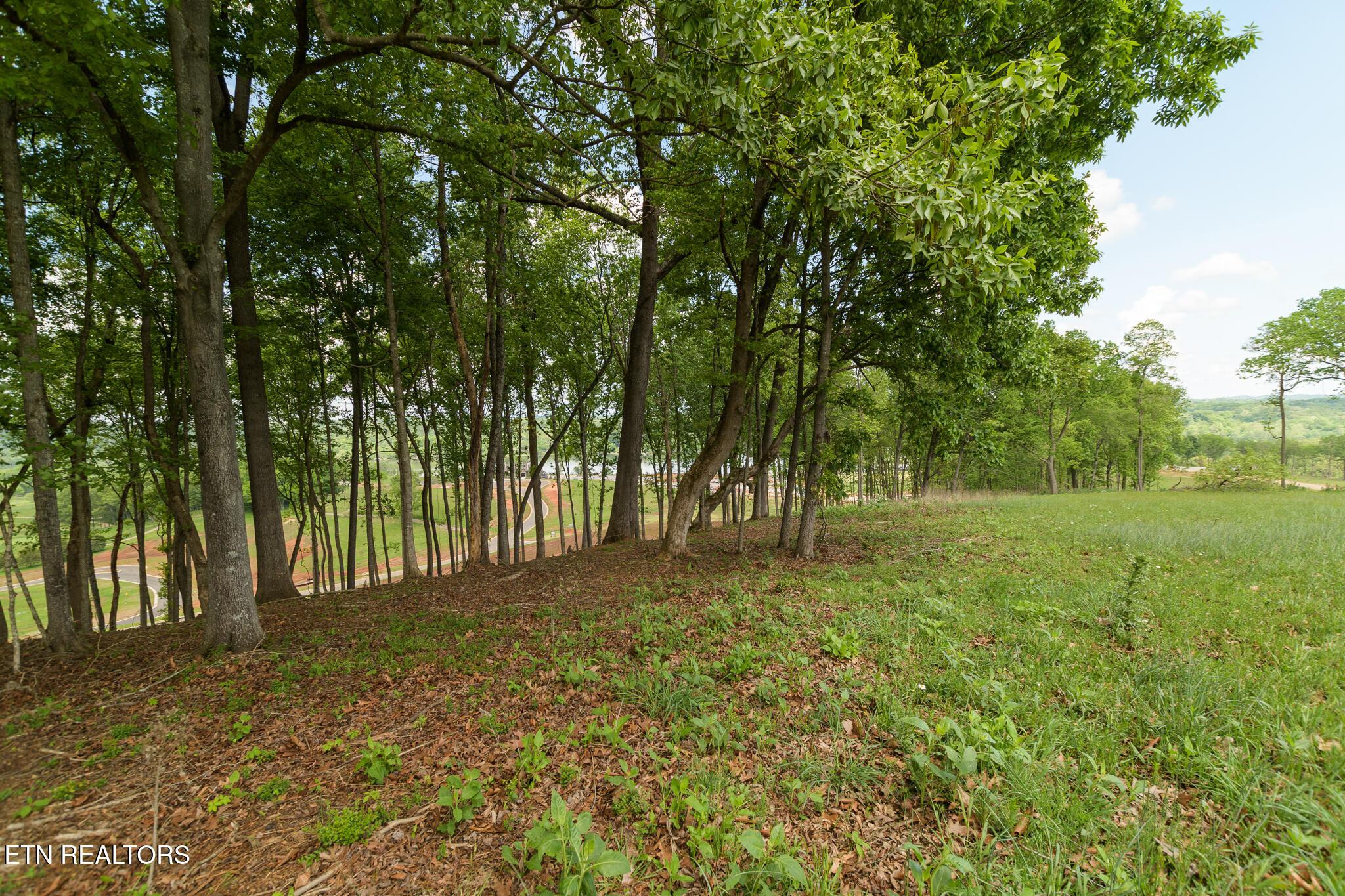 Fort Loudoun and Tellico Lake Real Estate - Image# 22