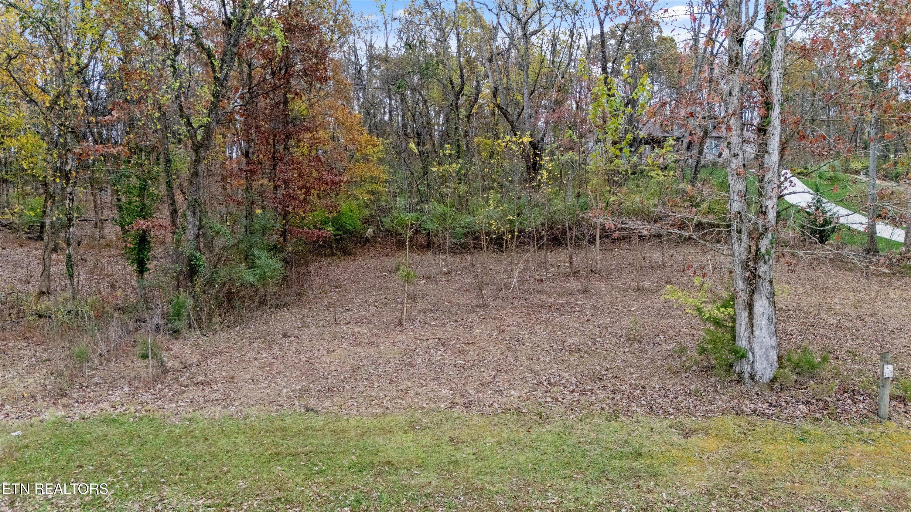 Fort Loudoun and Tellico Lake Real Estate - Image# 3