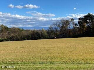 Fort Loudoun and Tellico Lake Real Estate - Image# 1