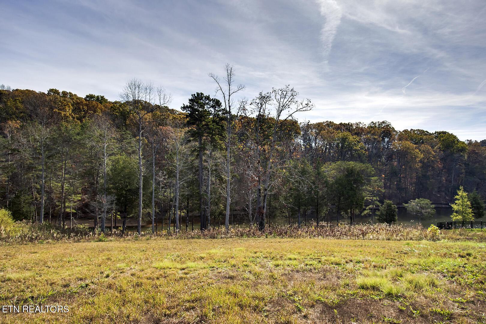 Fort Loudoun and Tellico Lake Real Estate - Image# 7