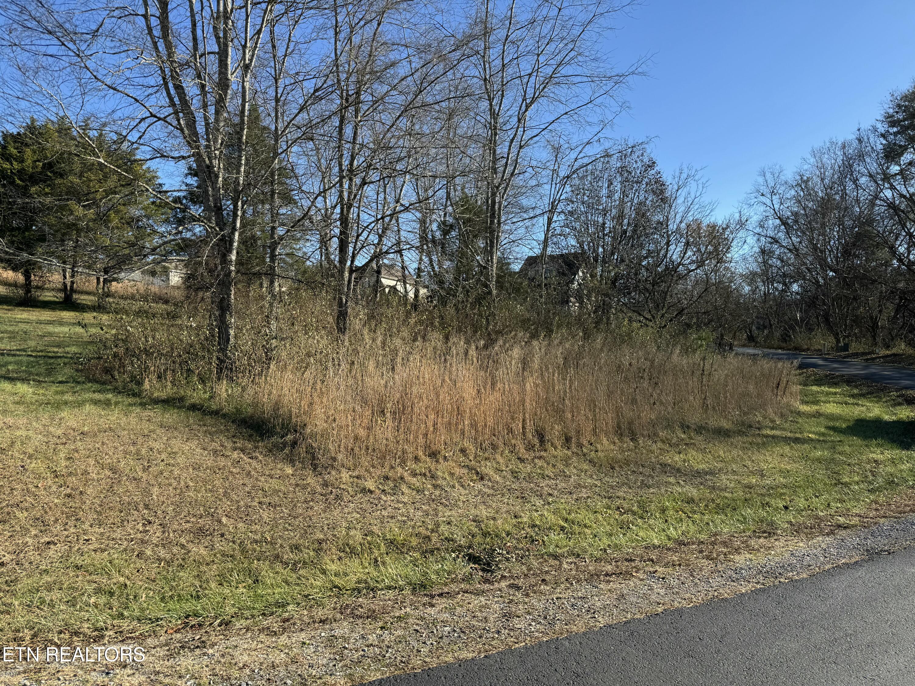 Fort Loudoun and Tellico Lake Real Estate - Image# 2