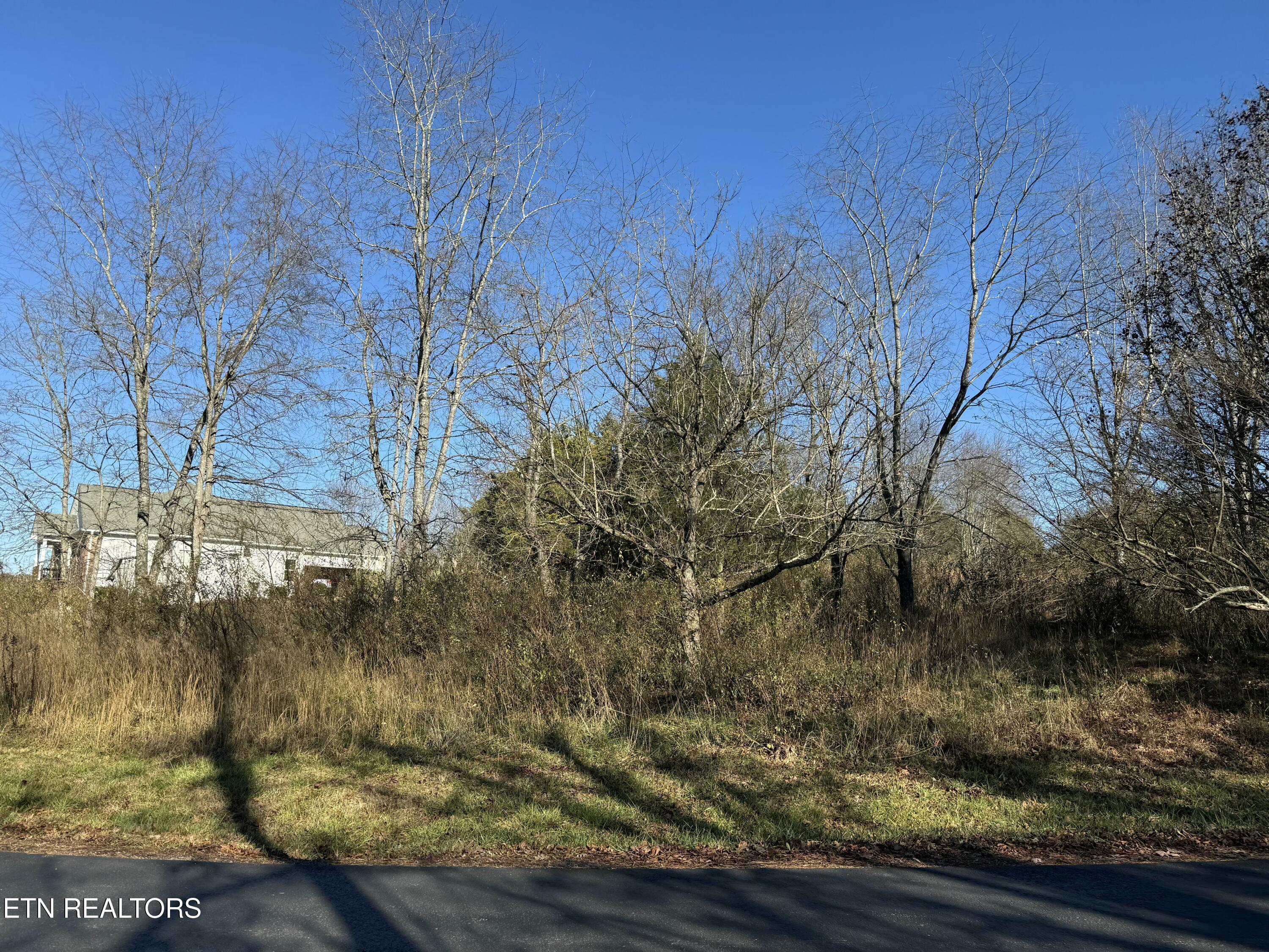 Fort Loudoun and Tellico Lake Real Estate - Image# 4