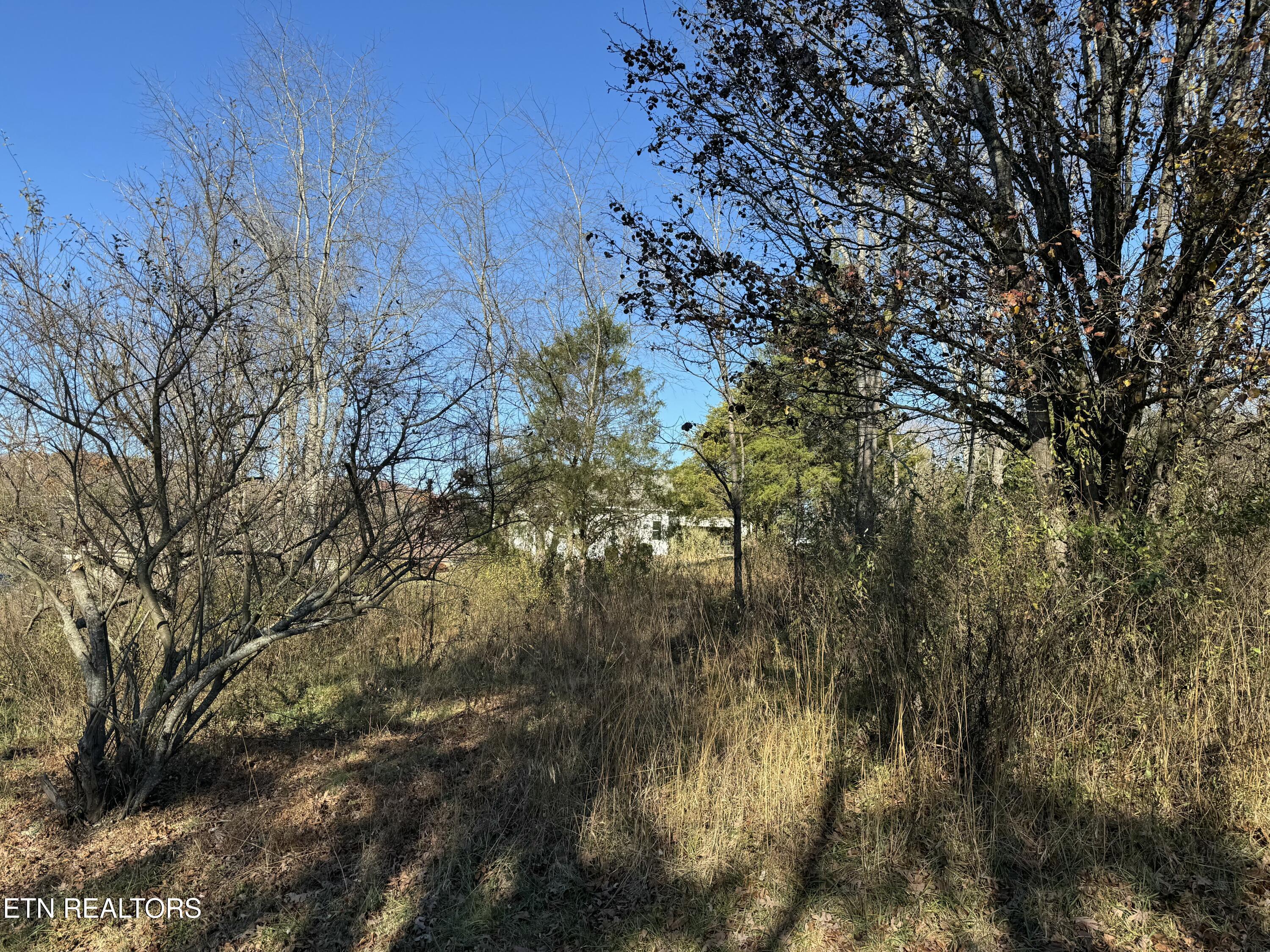 Fort Loudoun and Tellico Lake Real Estate - Image# 5
