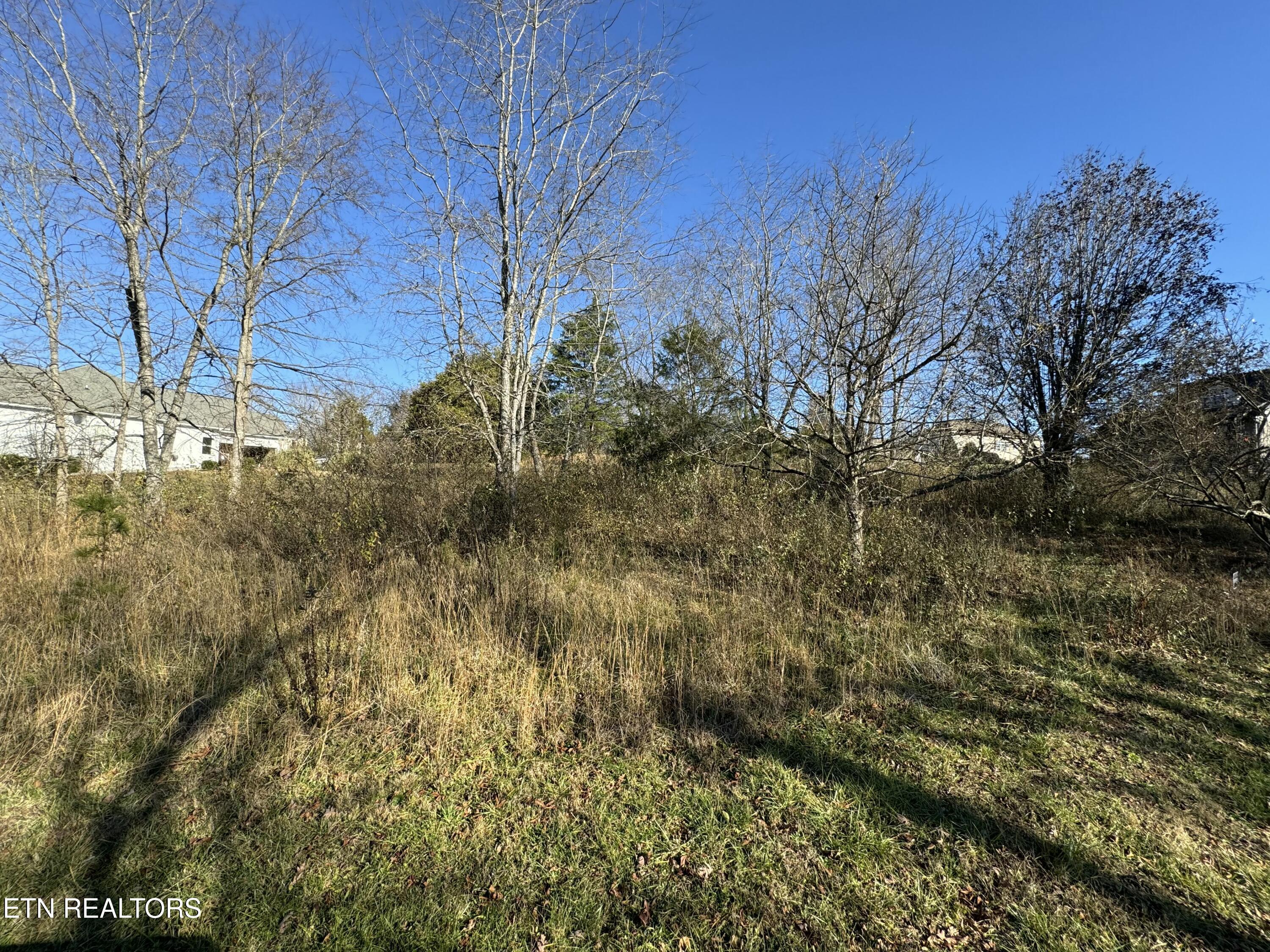 Fort Loudoun and Tellico Lake Real Estate - Image# 6