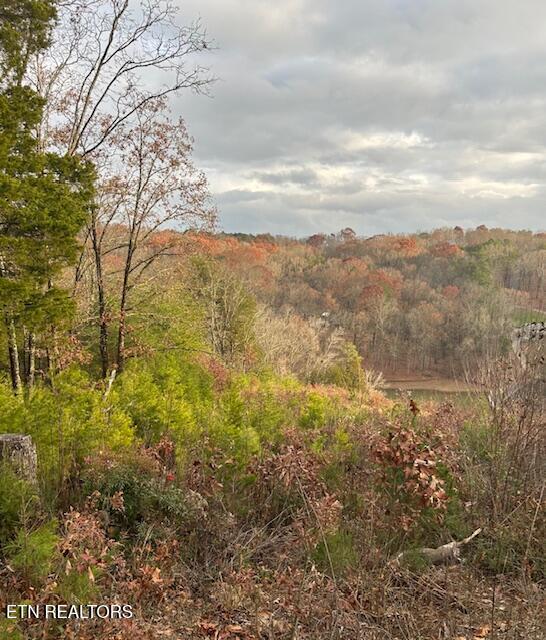 Fort Loudoun and Tellico Lake Real Estate - Image# 49