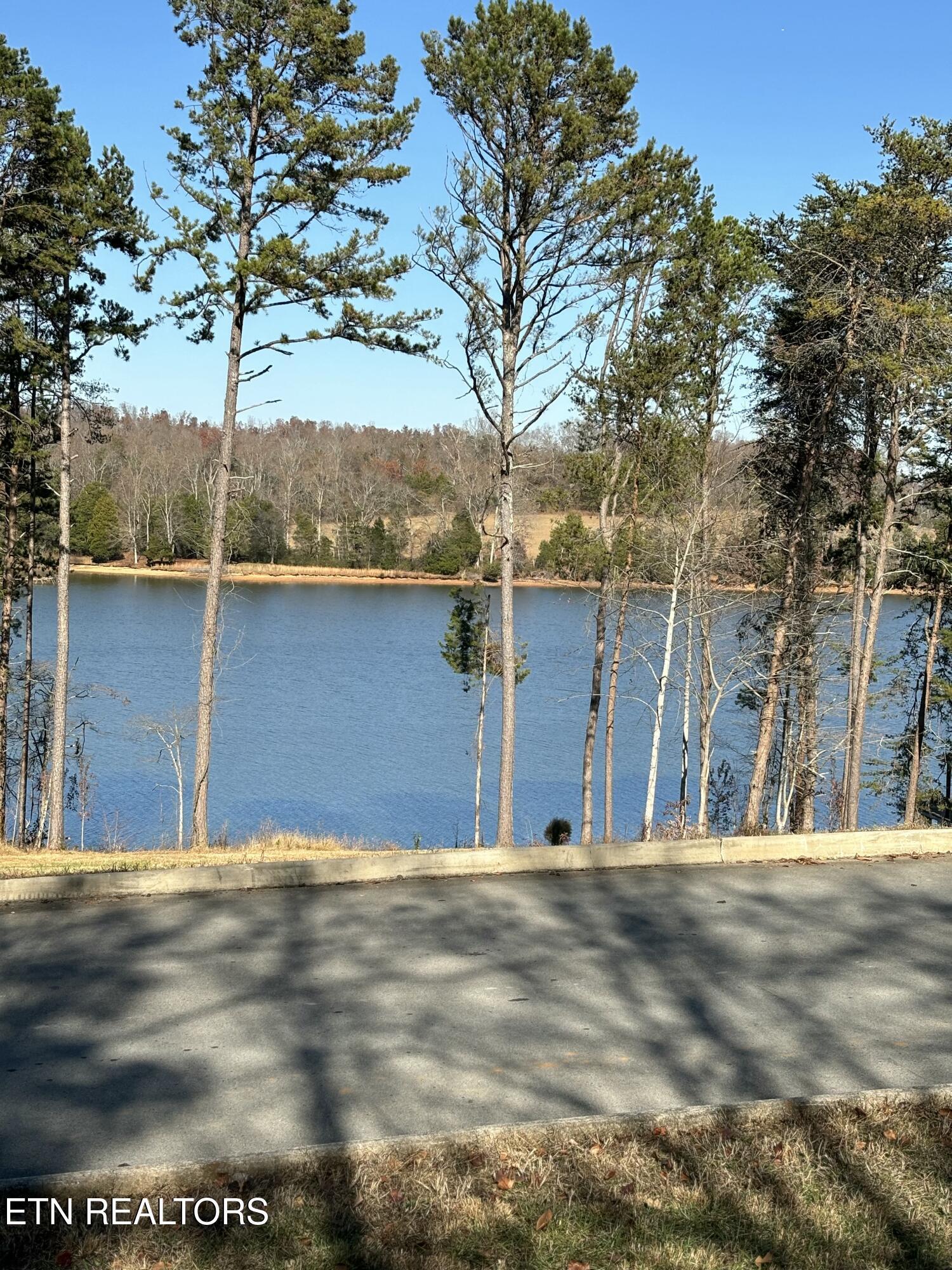 650 Sandpiper Drive, Vonore, TN - Fort Loudoun and Tellico Lake Real Estate - Image# 4