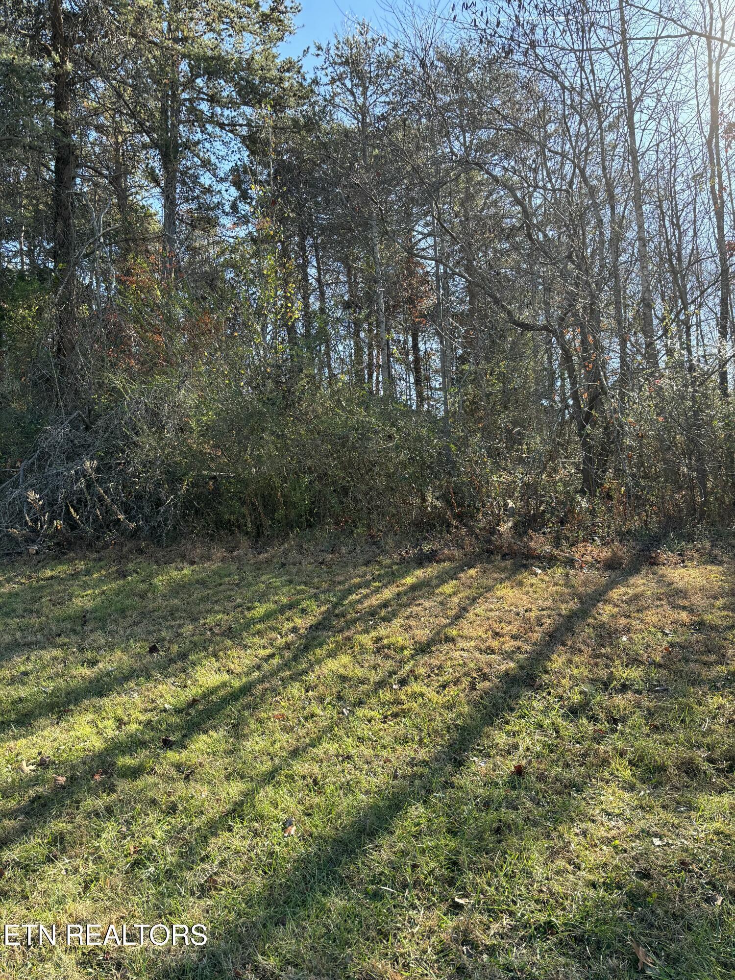 650 Sandpiper Drive, Vonore, TN - Fort Loudoun and Tellico Lake Real Estate - Image# 9