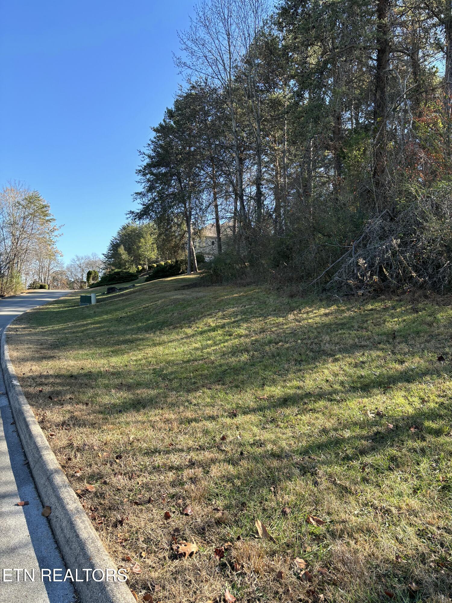 650 Sandpiper Drive, Vonore, TN - Fort Loudoun and Tellico Lake Real Estate - Image# 10