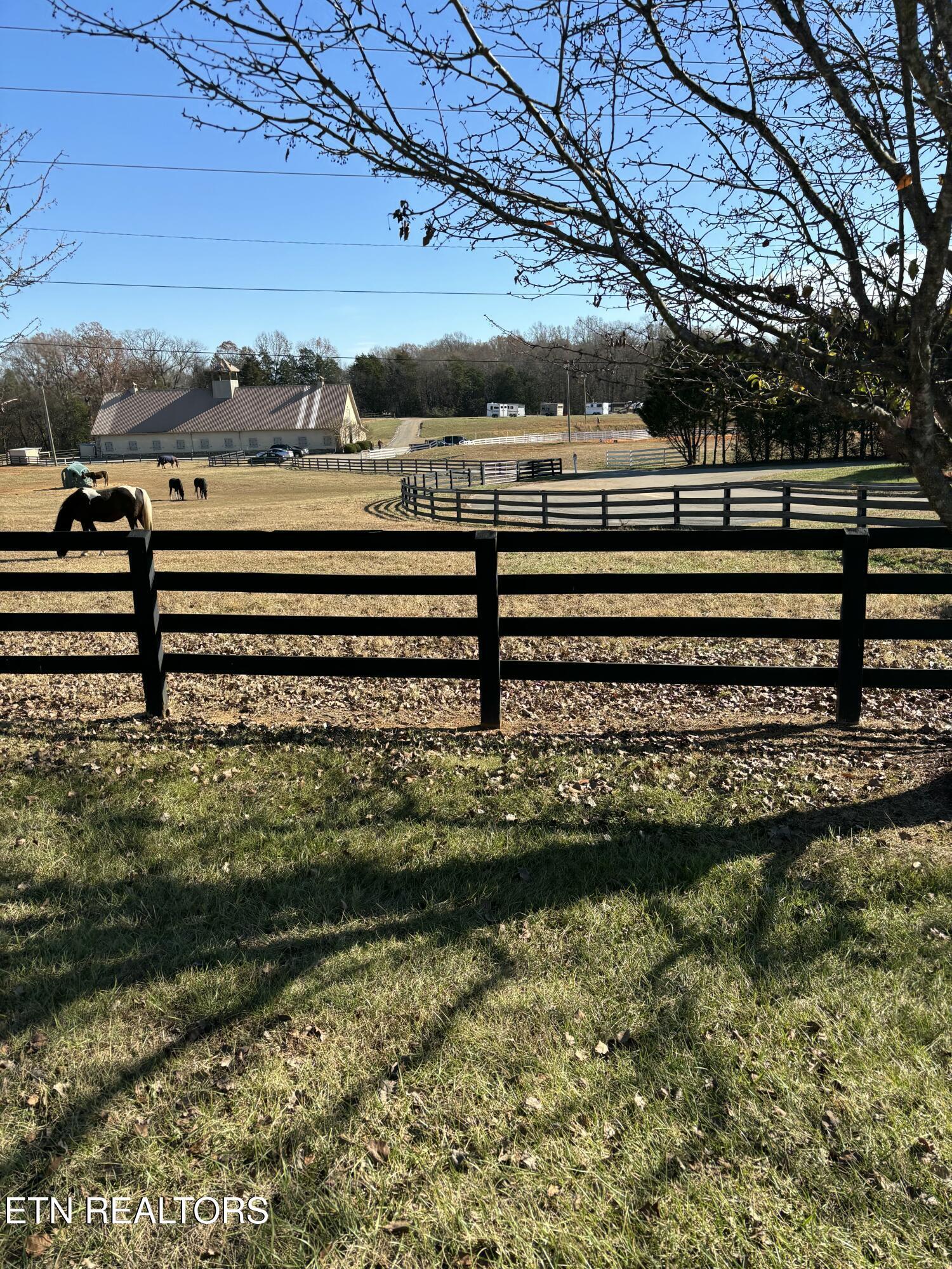 650 Sandpiper Drive, Vonore, TN - Fort Loudoun and Tellico Lake Real Estate - Image# 13