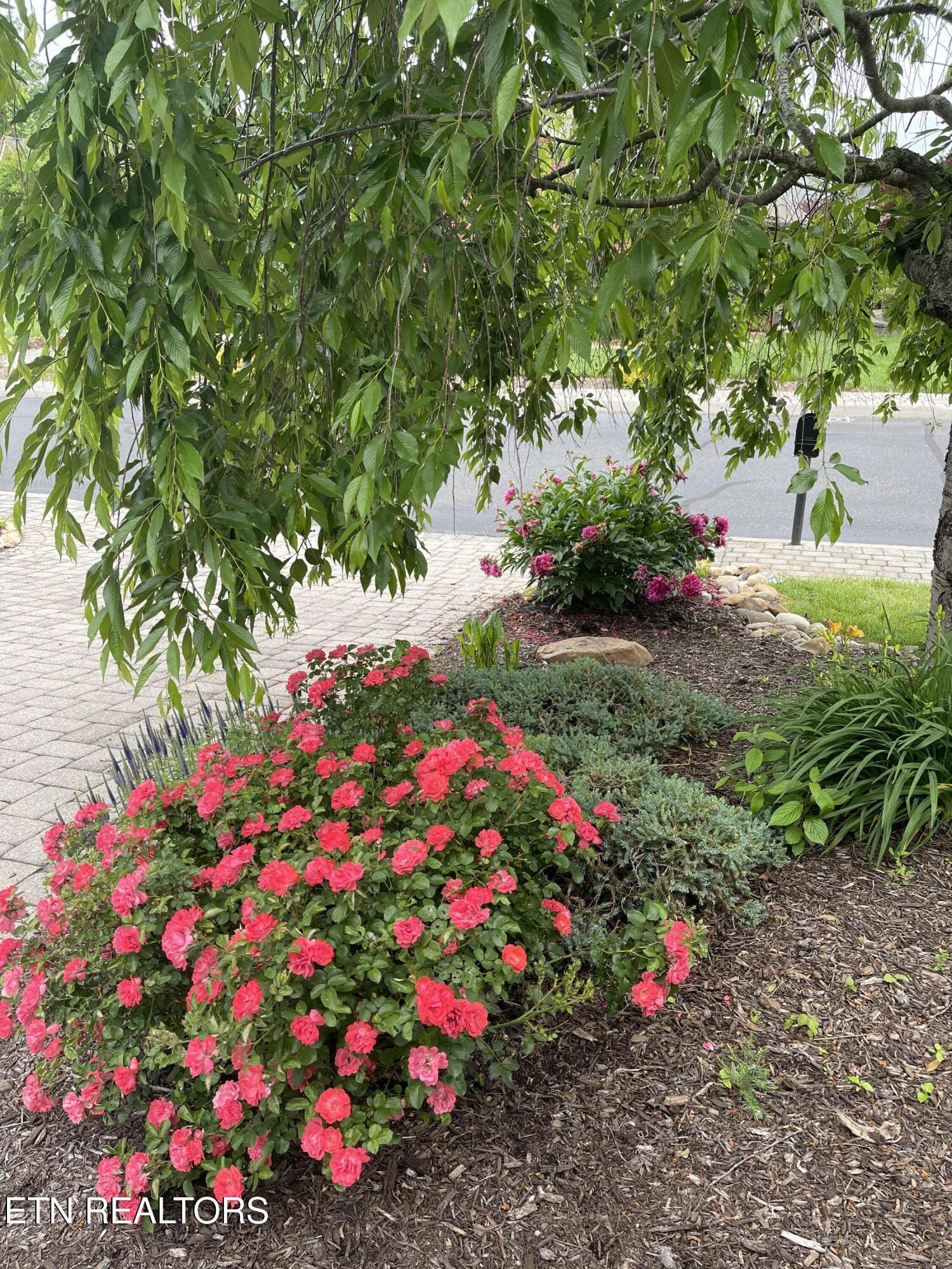 Fort Loudoun and Tellico Lake Real Estate - Image# 84
