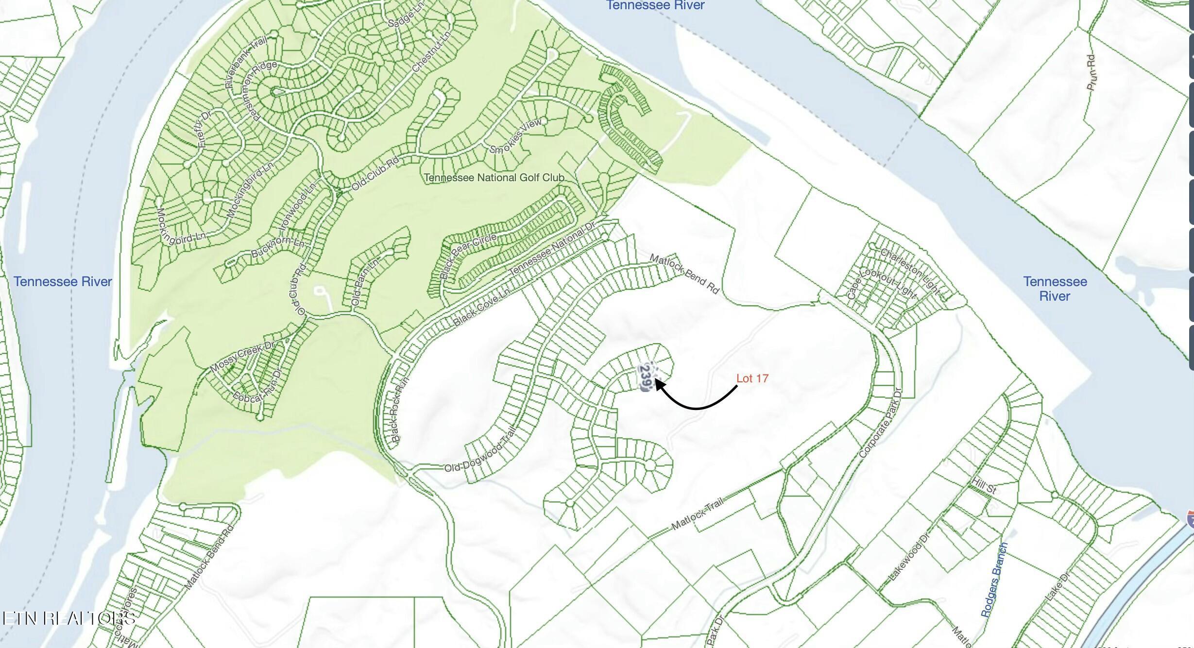338 Flip Flop Way, Loudon, TN - Fort Loudoun and Tellico Lake Real Estate - Image# 8
