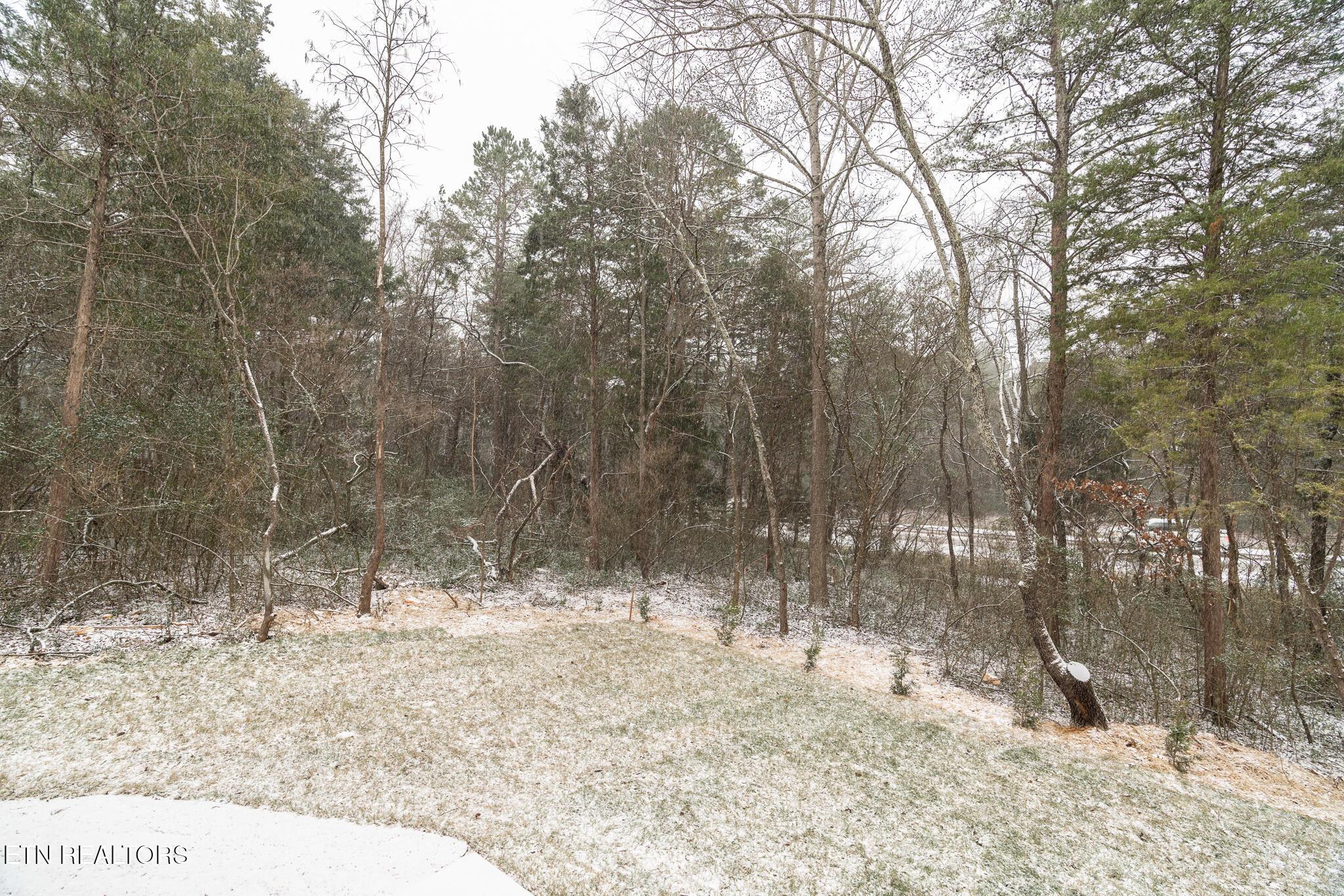 Fort Loudoun and Tellico Lake Real Estate - Image# 36