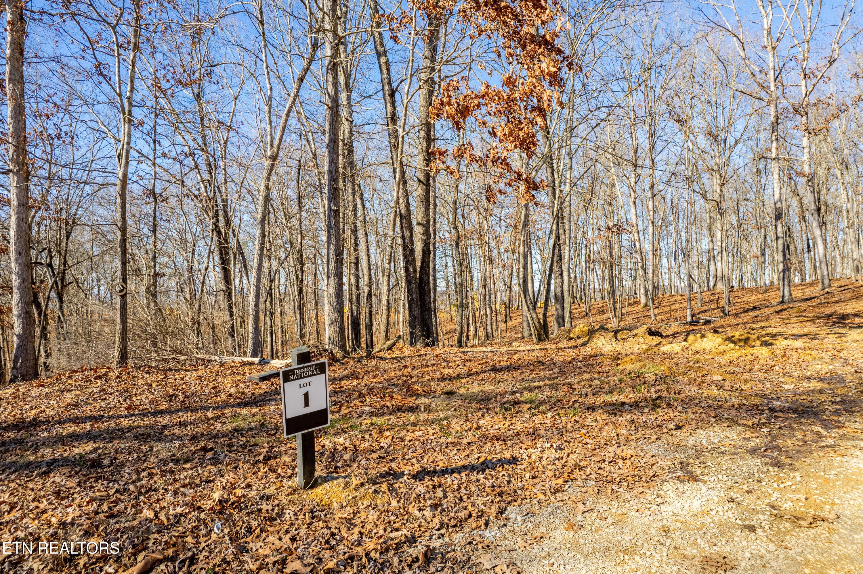2501 Old Dogwood Tr, Loudon, TN - Fort Loudoun and Tellico Lake Real Estate - Image# 4