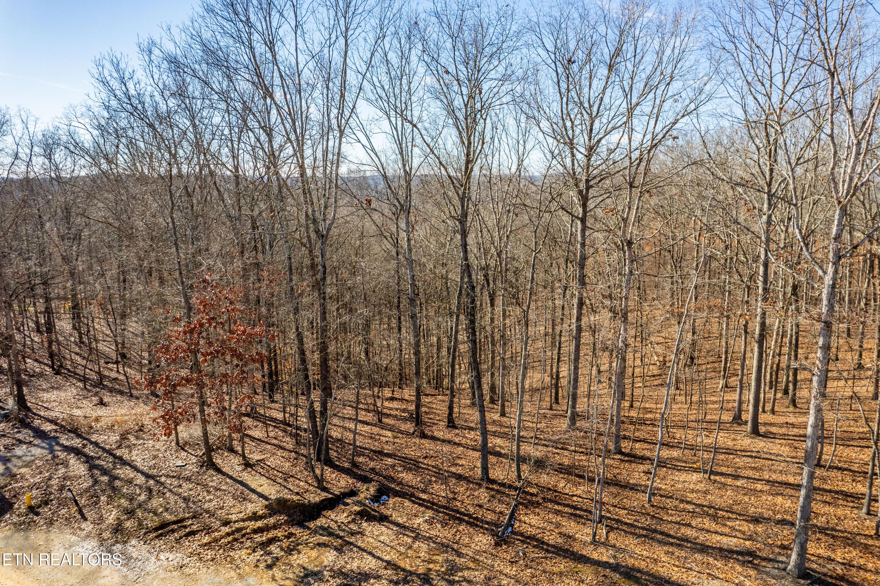 2501 Old Dogwood Tr, Loudon, TN - Fort Loudoun and Tellico Lake Real Estate - Image# 5