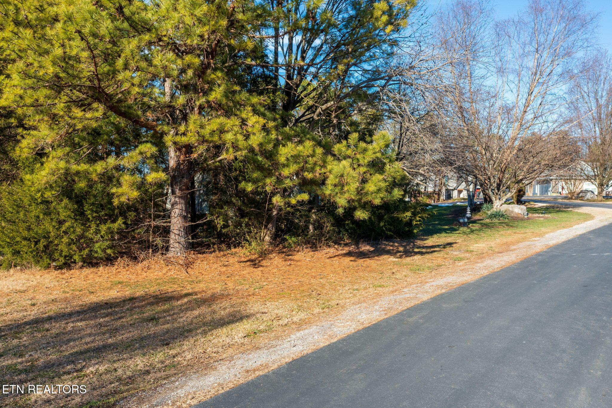 313 Gadusi Lane, Loudon, TN - Fort Loudoun and Tellico Lake Real Estate - Image# 4