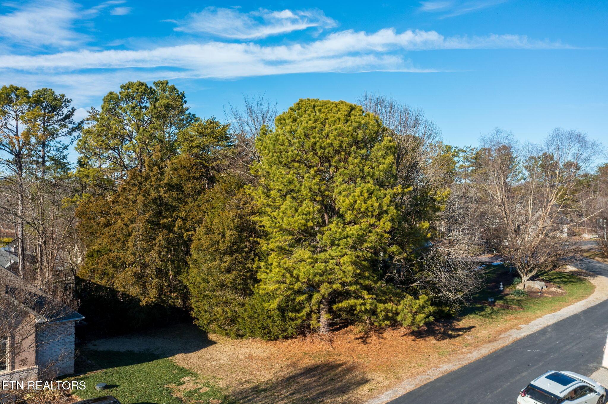 313 Gadusi Lane, Loudon, TN - Fort Loudoun and Tellico Lake Real Estate - Image# 5