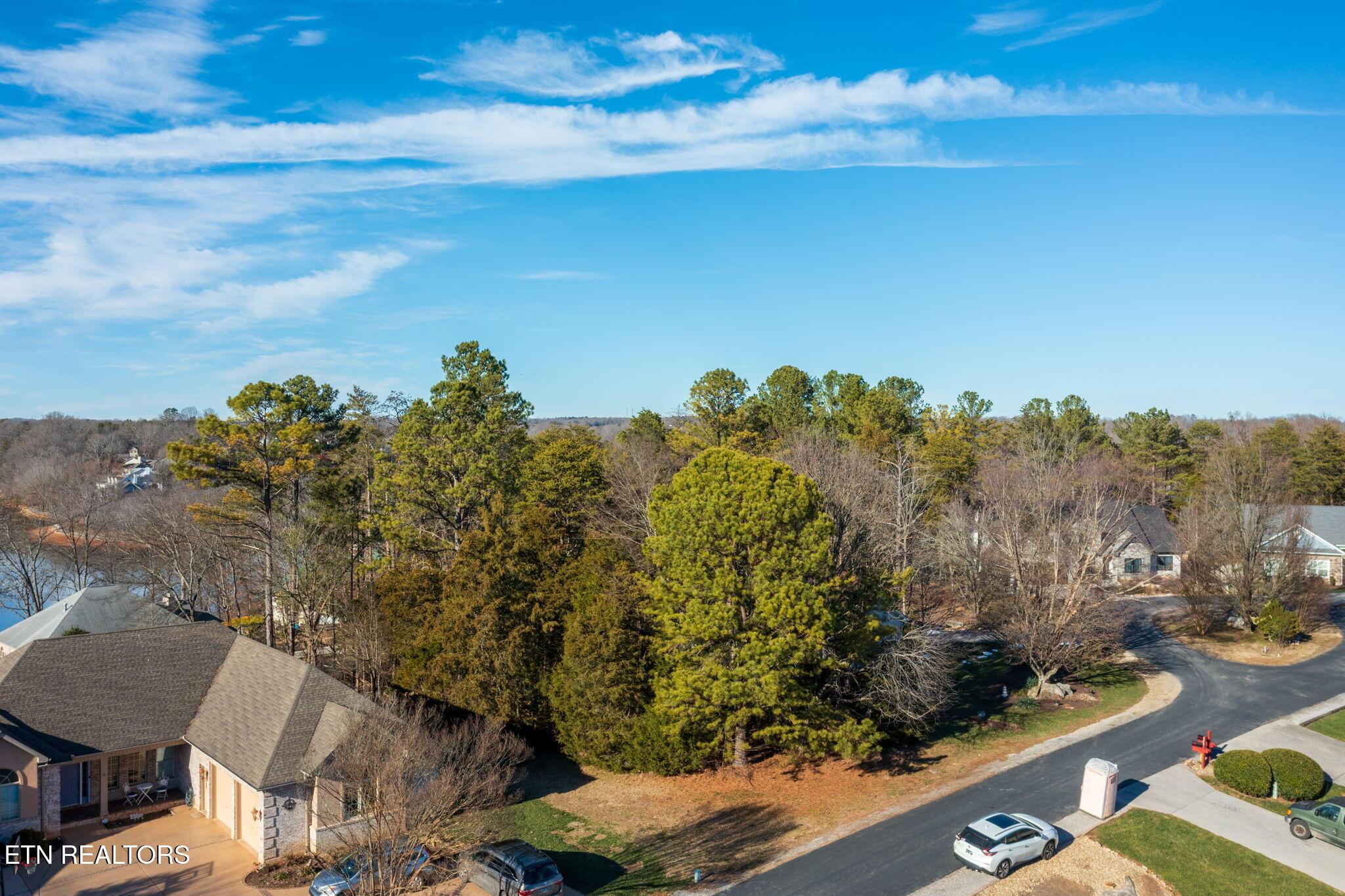313 Gadusi Lane, Loudon, TN - Fort Loudoun and Tellico Lake Real Estate - Image# 6