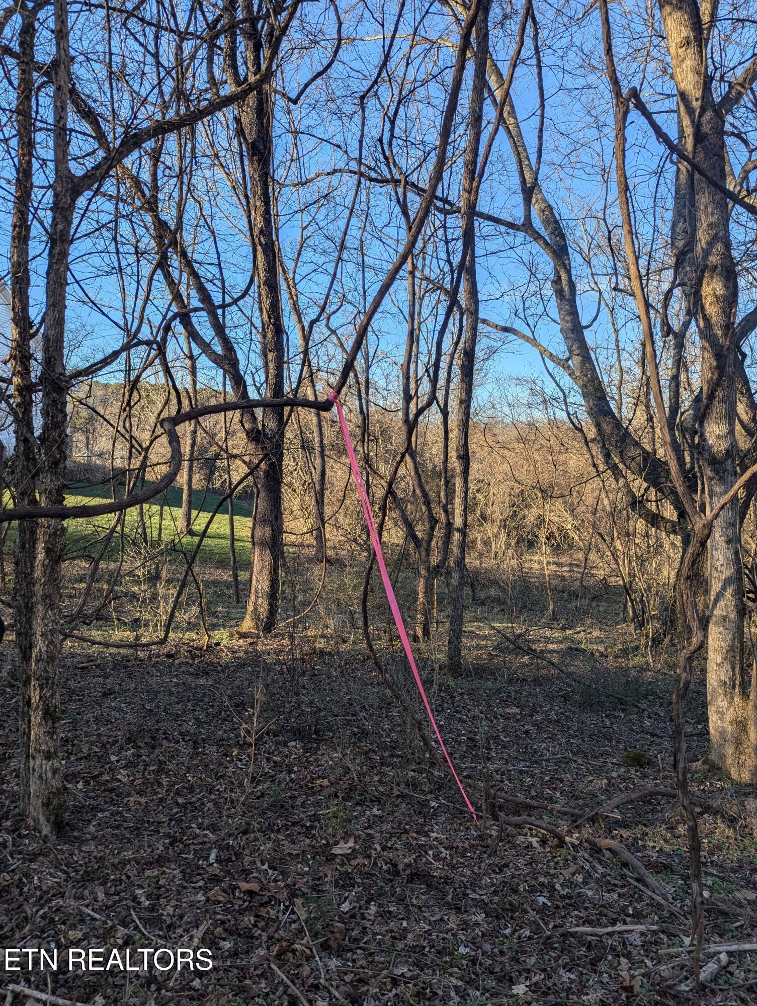 261 Ootsima Way, Loudon, TN - Fort Loudoun and Tellico Lake Real Estate - Image# 4