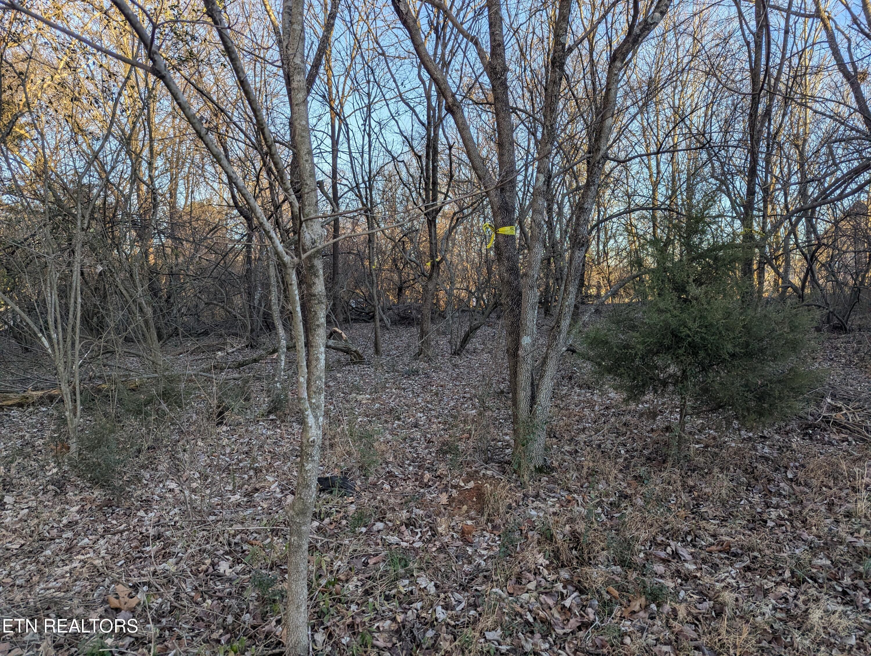 113 Pocola Way, Loudon, TN - Fort Loudoun and Tellico Lake Real Estate - Image# 2