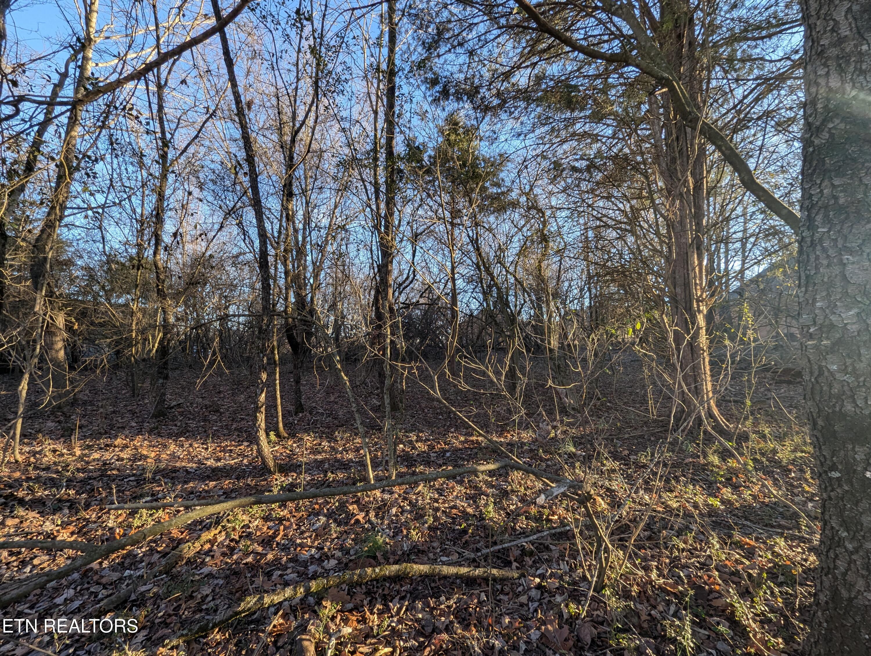 113 Pocola Way, Loudon, TN - Fort Loudoun and Tellico Lake Real Estate - Image# 3