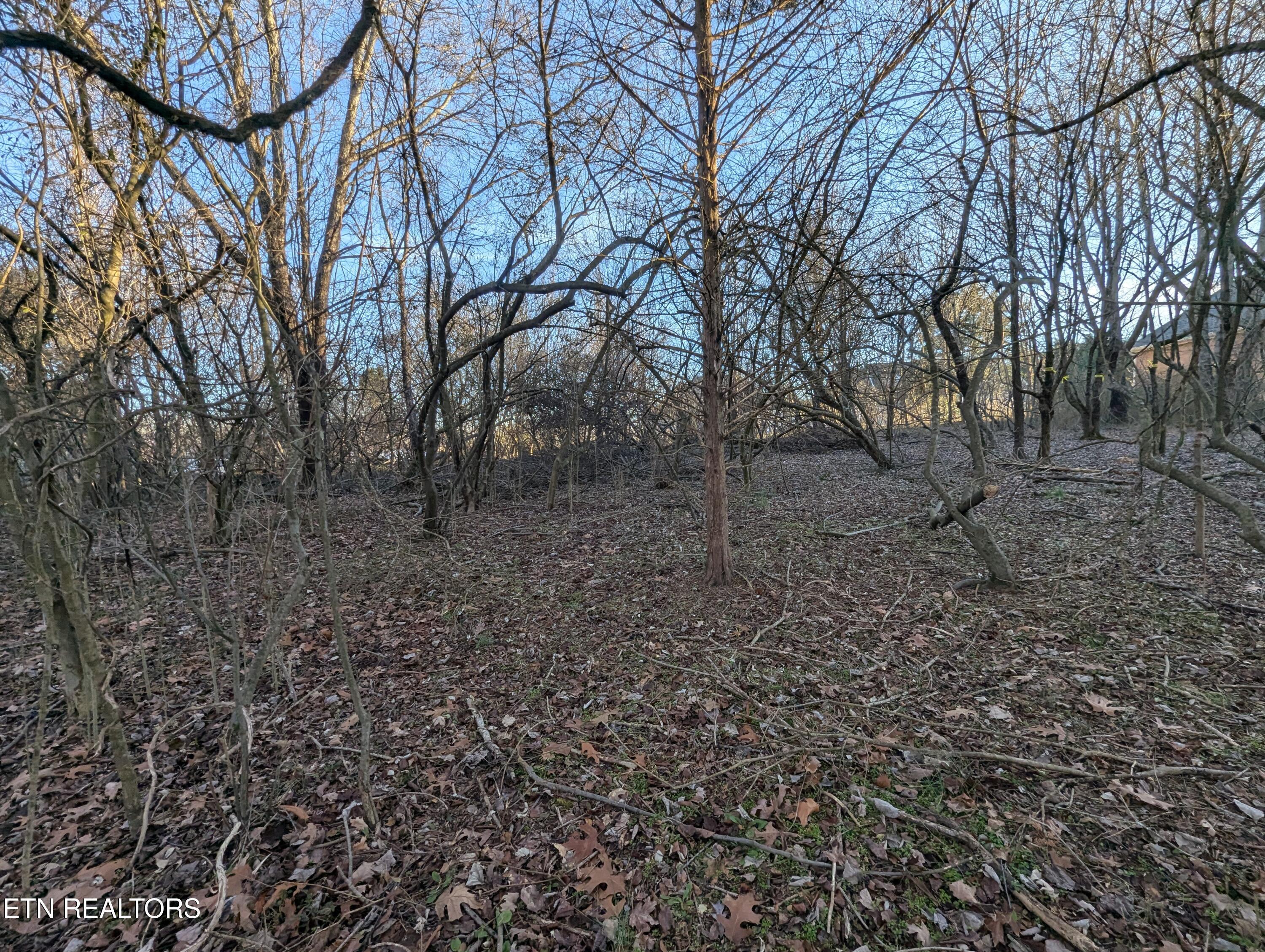 113 Pocola Way, Loudon, TN - Fort Loudoun and Tellico Lake Real Estate - Image# 4