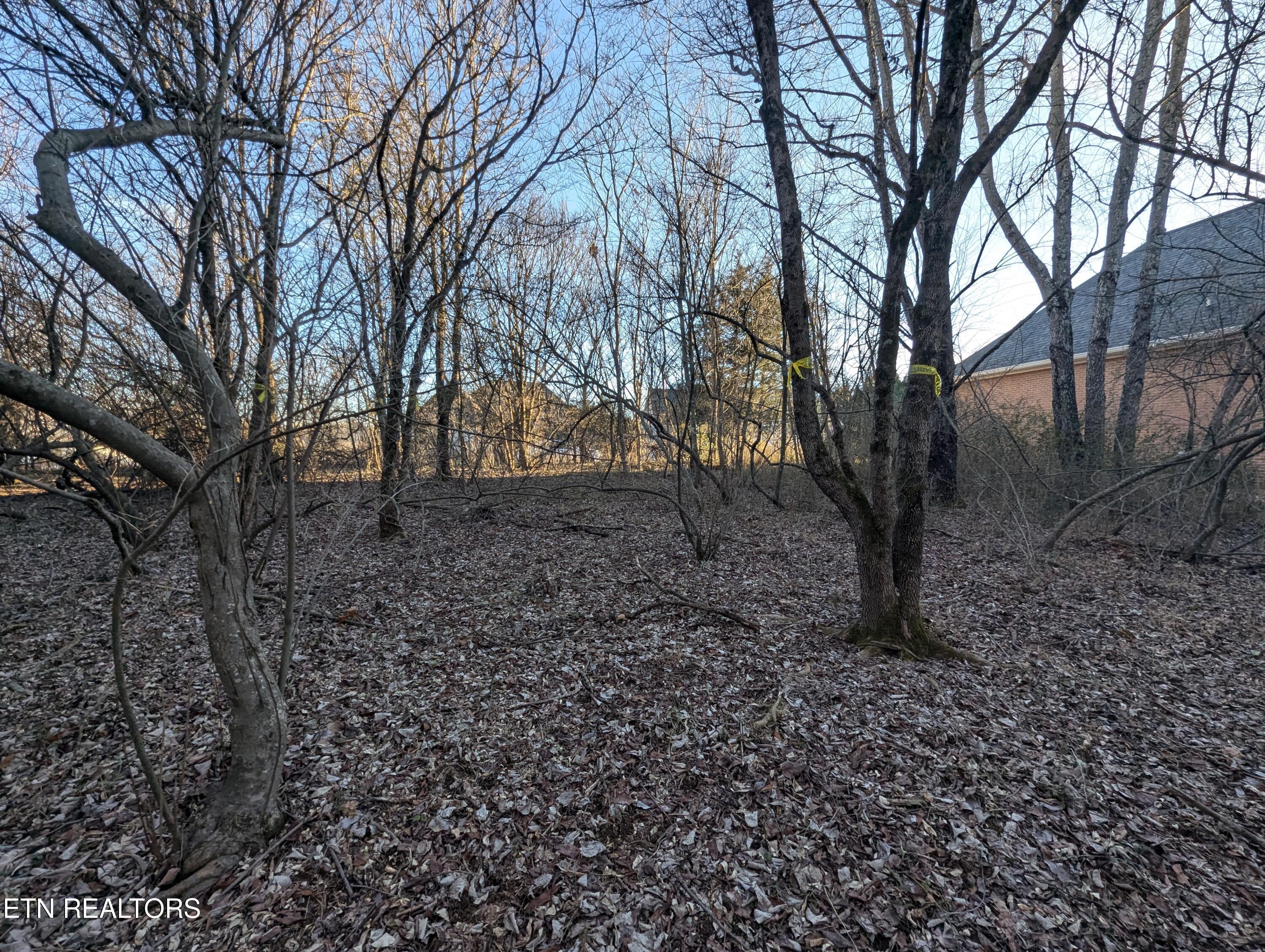113 Pocola Way, Loudon, TN - Fort Loudoun and Tellico Lake Real Estate - Image# 1