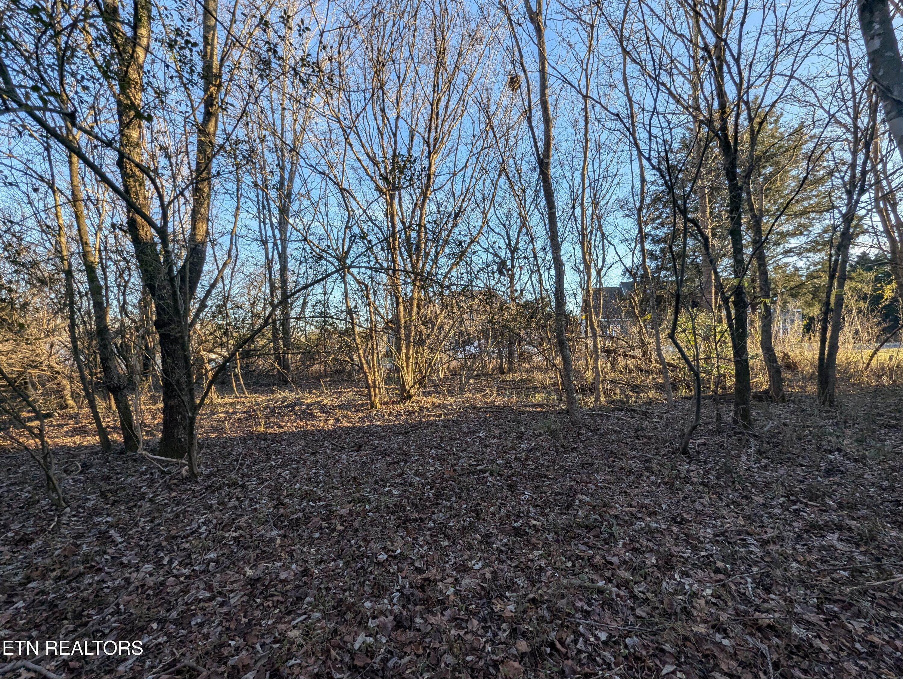113 Pocola Way, Loudon, TN - Fort Loudoun and Tellico Lake Real Estate - Image# 5