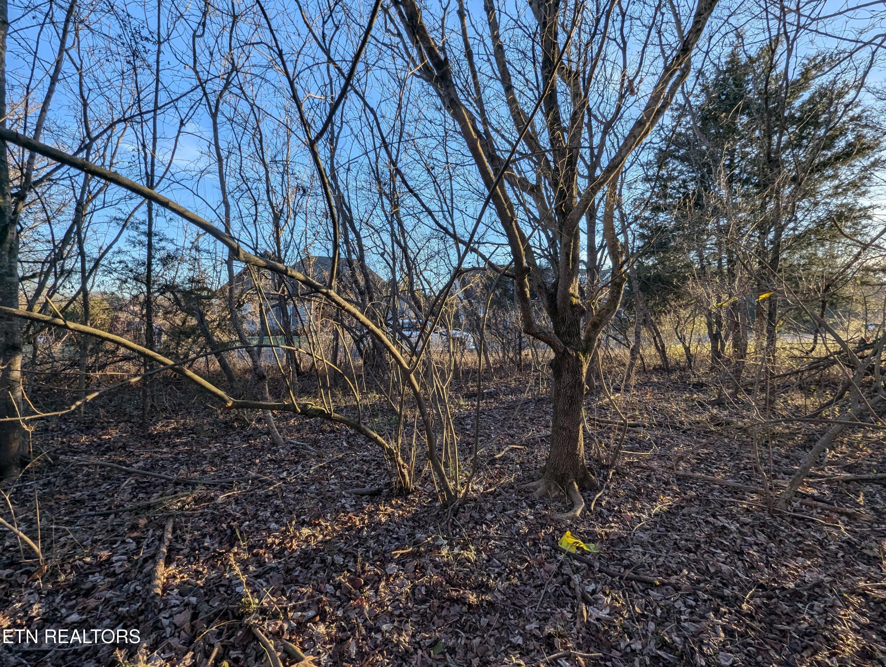 113 Pocola Way, Loudon, TN - Fort Loudoun and Tellico Lake Real Estate - Image# 6