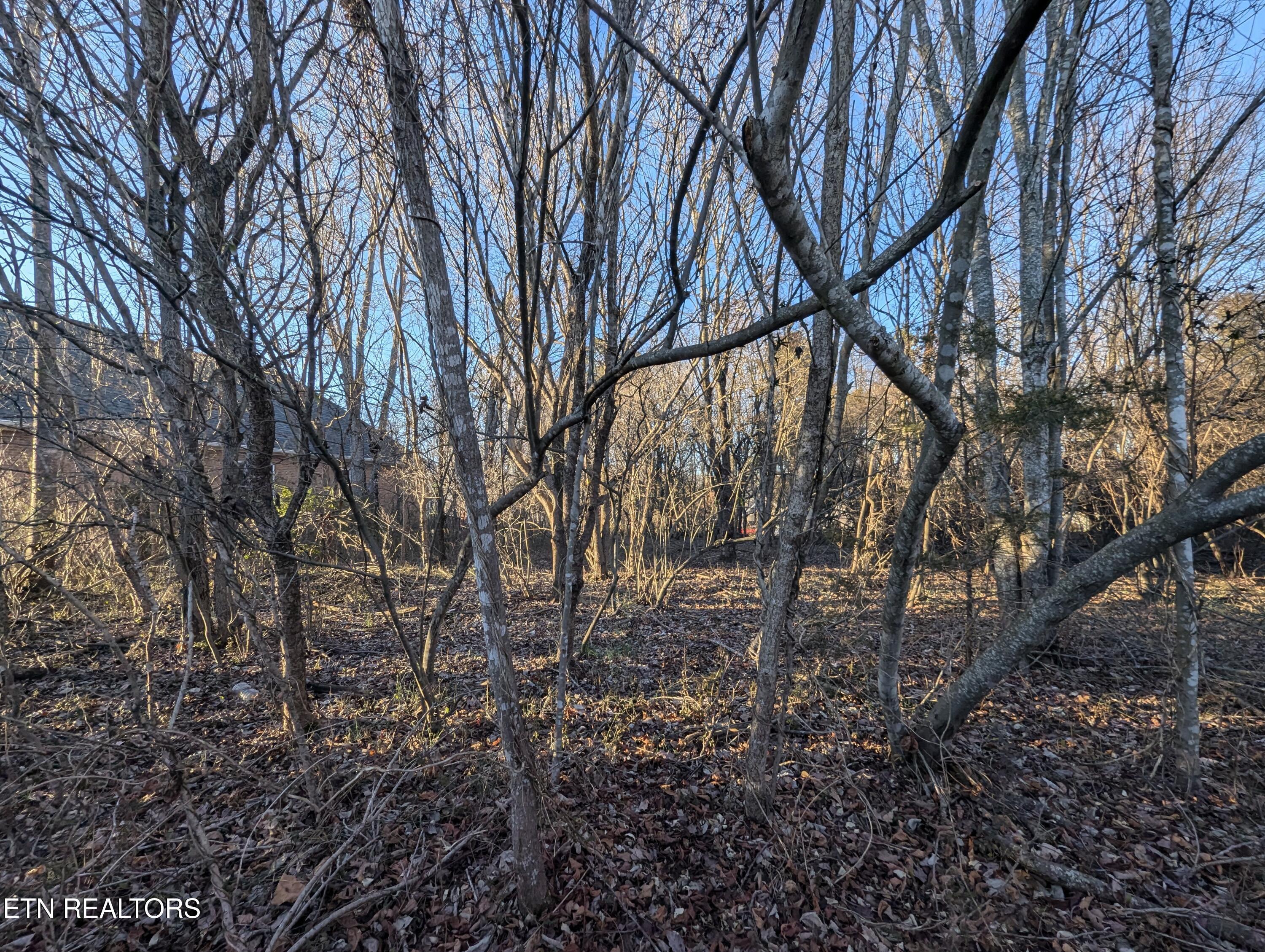113 Pocola Way, Loudon, TN - Fort Loudoun and Tellico Lake Real Estate - Image# 8