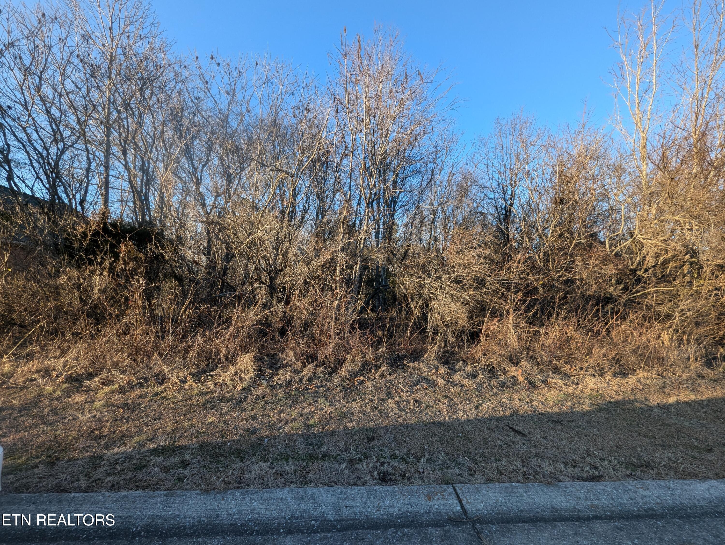 113 Pocola Way, Loudon, TN - Fort Loudoun and Tellico Lake Real Estate - Image# 9