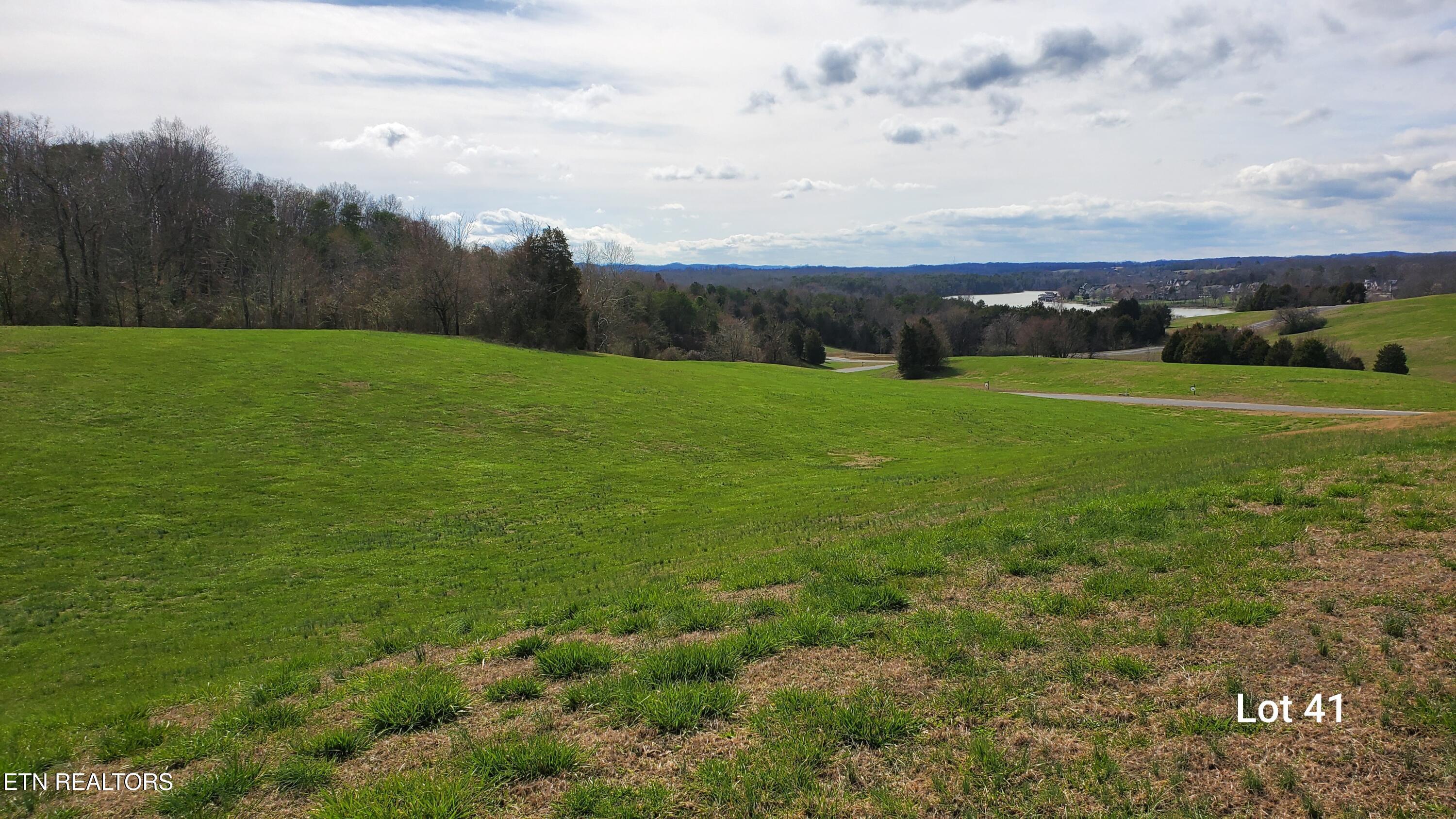 L41 Thunder Ridge Drive, Vonore, TN - Fort Loudoun and Tellico Lake Real Estate - Image# 6
