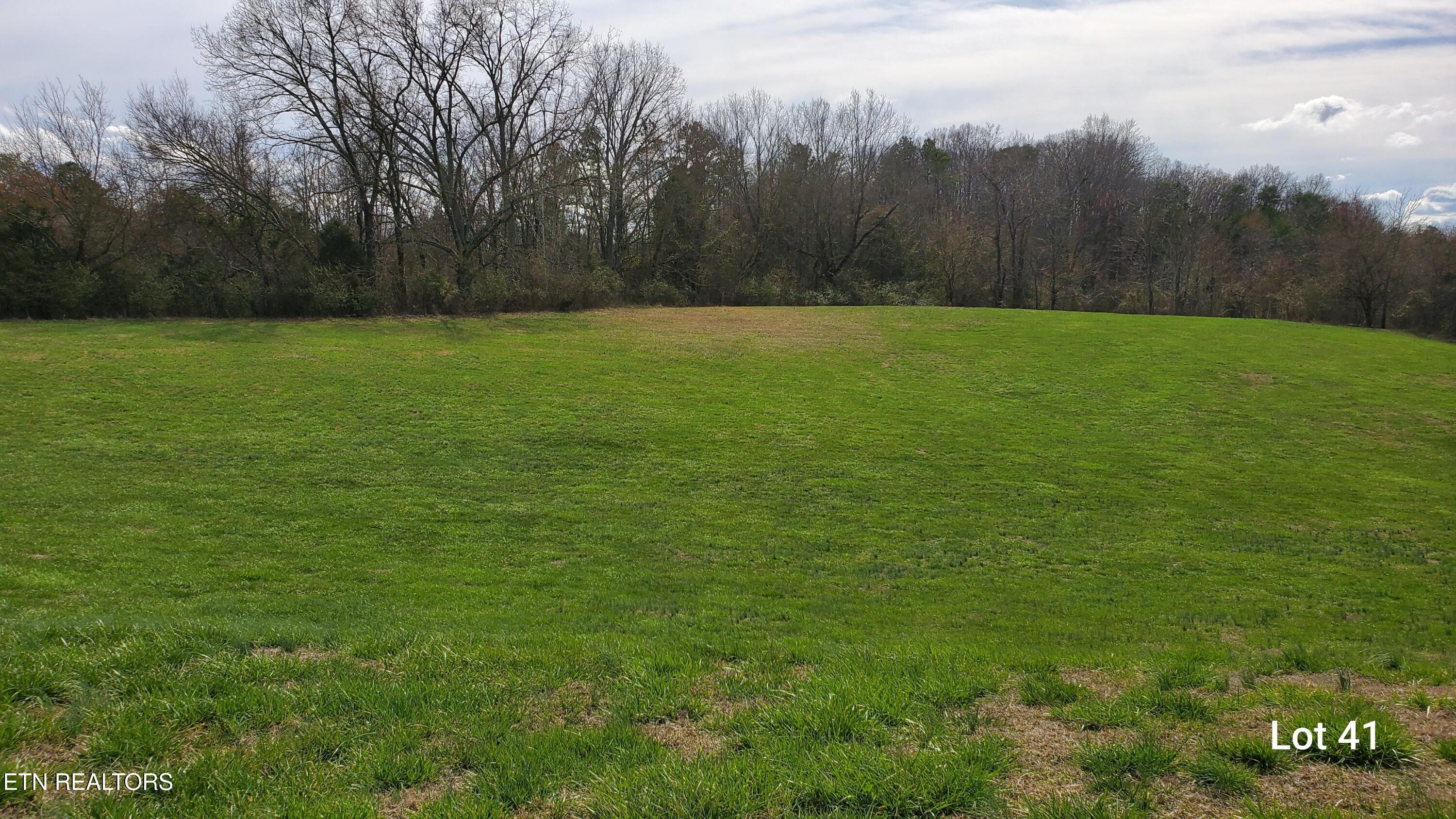 L41 Thunder Ridge Drive, Vonore, TN - Fort Loudoun and Tellico Lake Real Estate - Image# 7