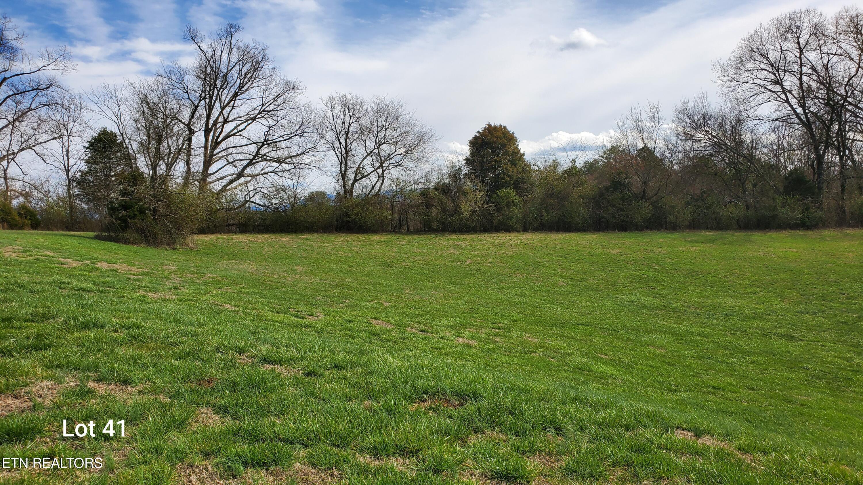 L41 Thunder Ridge Drive, Vonore, TN - Fort Loudoun and Tellico Lake Real Estate - Image# 8